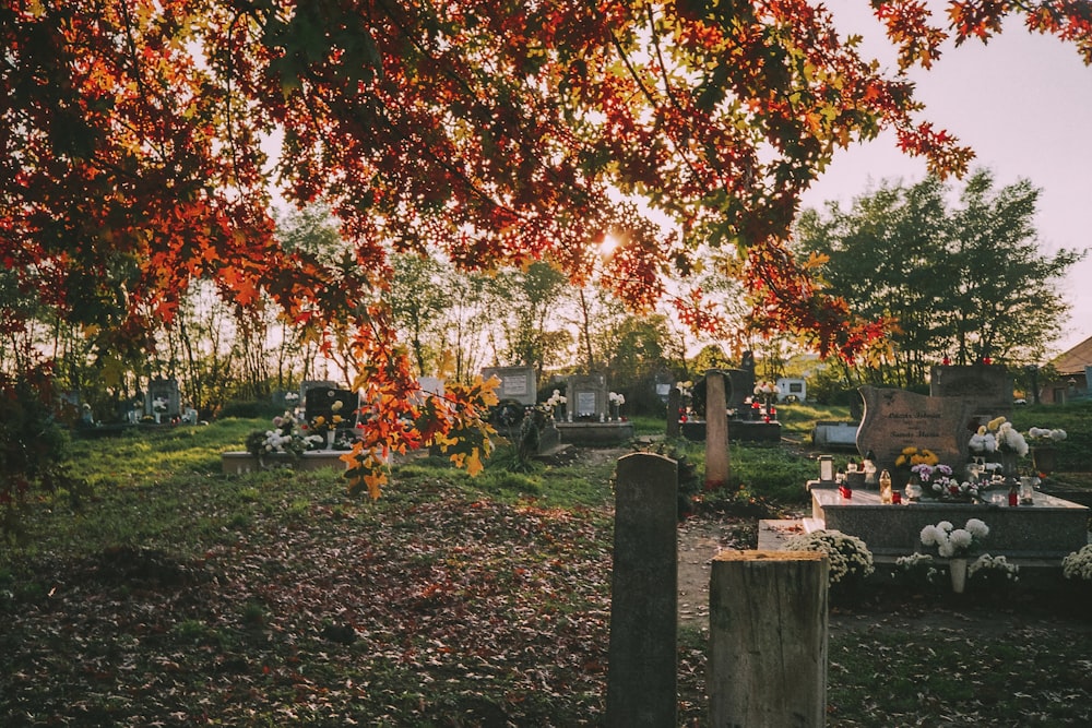 a group of people sitting around a table under a tree