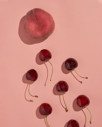 Close-up of colorful fruit-shaped squishy toys arranged on a pastel background