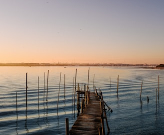 a wooden dock sitting in the middle of a body of water