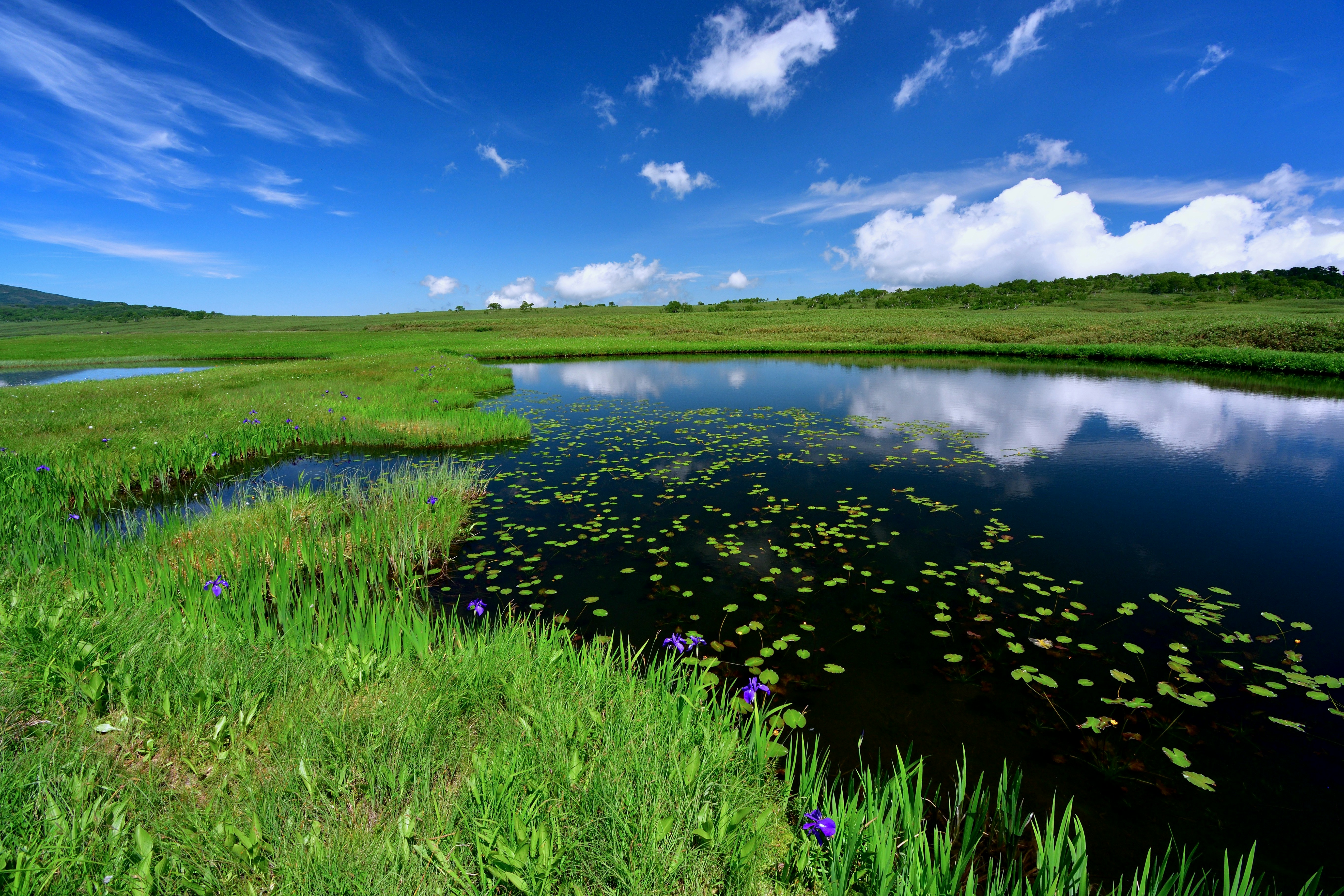 Photo by freezer_nico