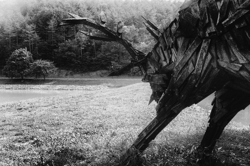 a black and white photo of a horse in a field