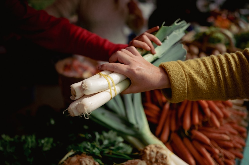 a person holding a bunch of carrots in their hands