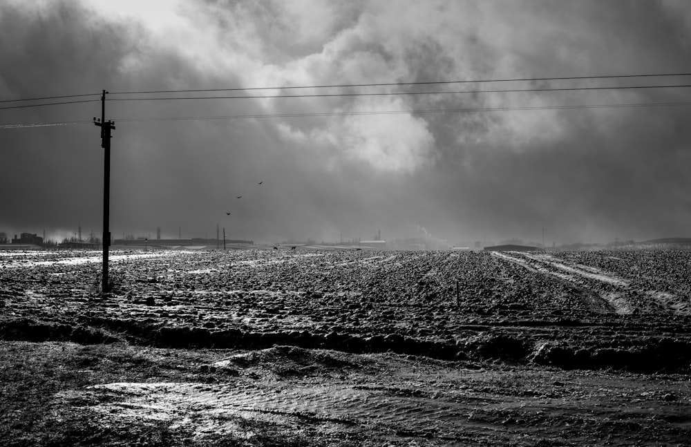 a black and white photo of a large field