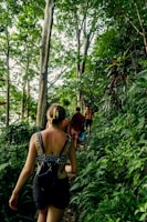 a group of people walking through a lush green forest