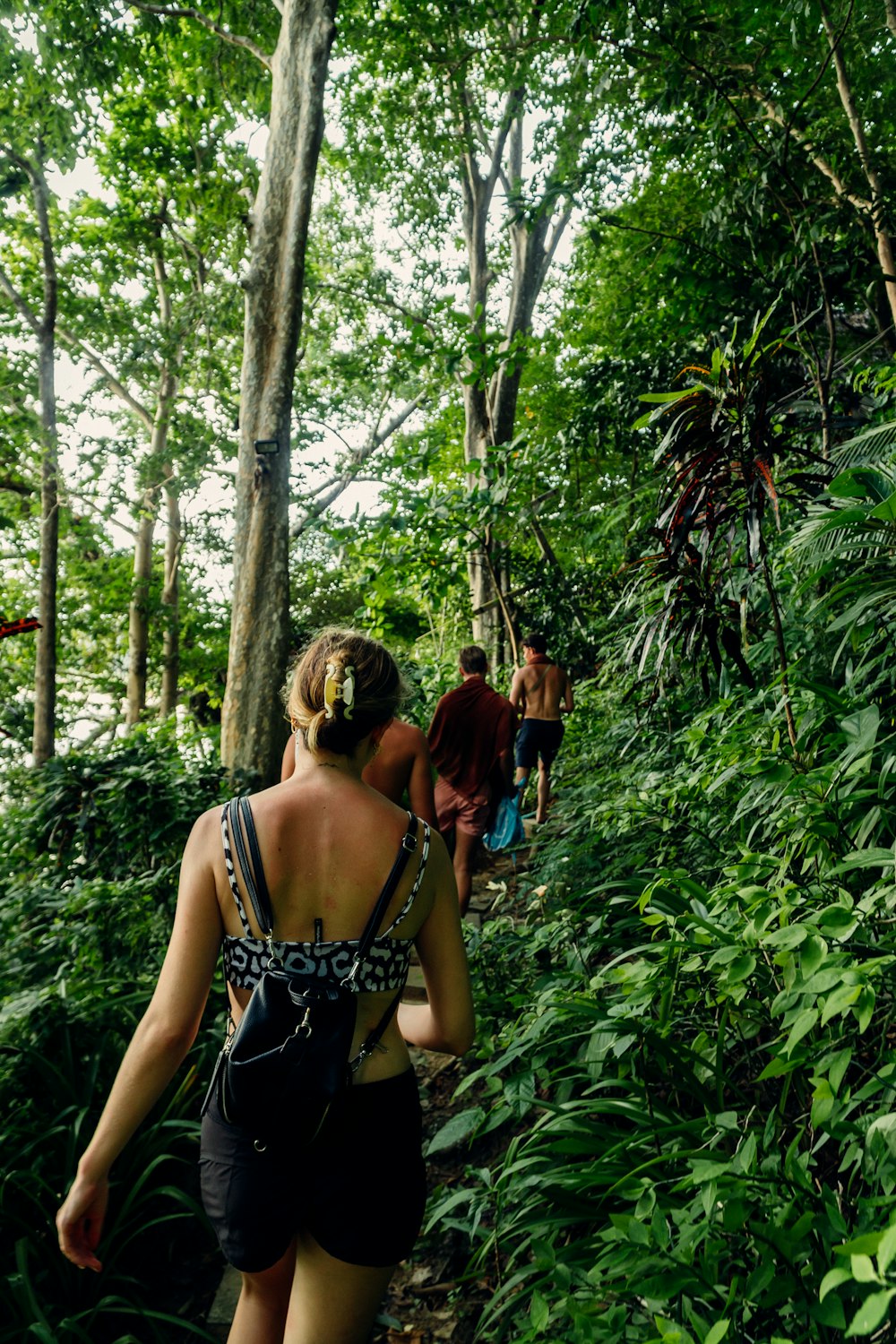 a group of people walking through a lush green forest