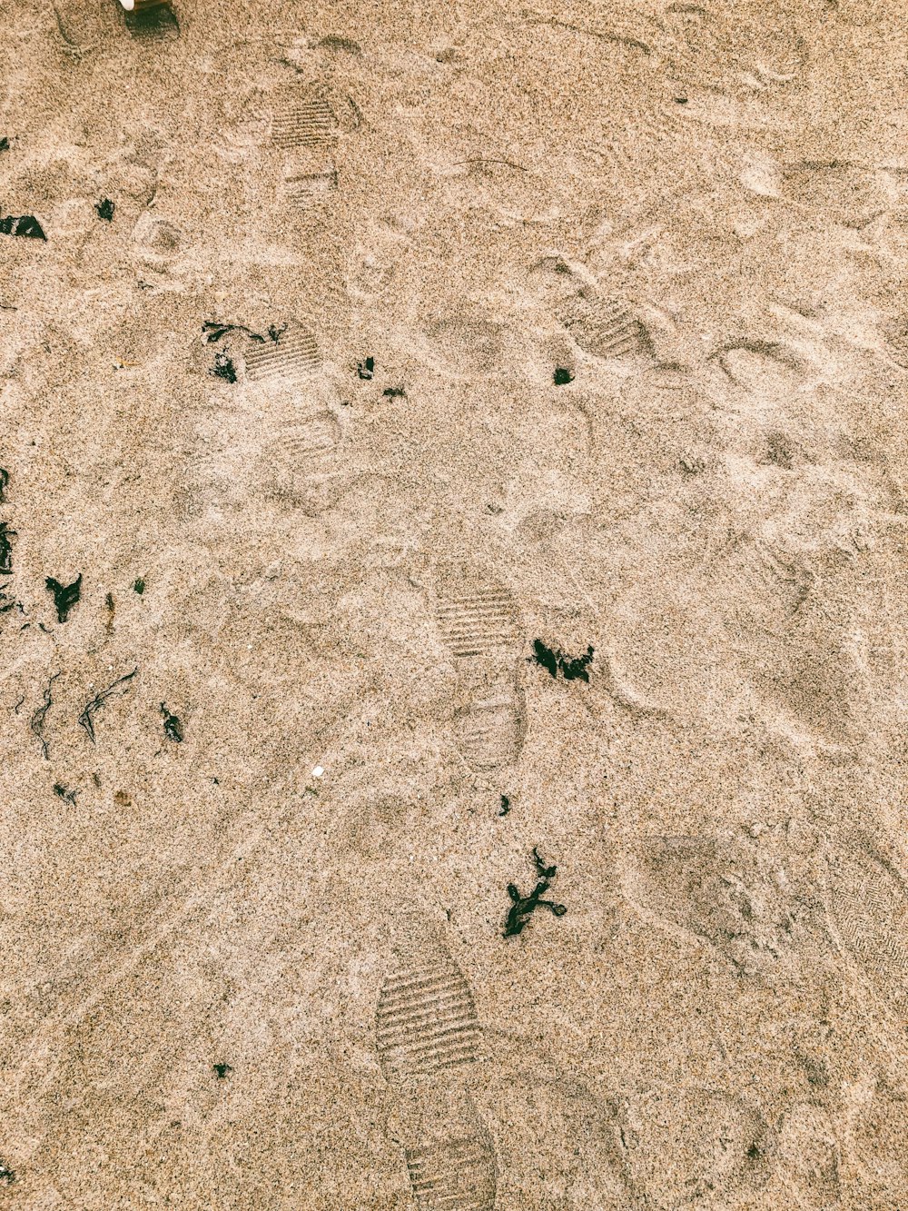 a person standing in the sand with a frisbee