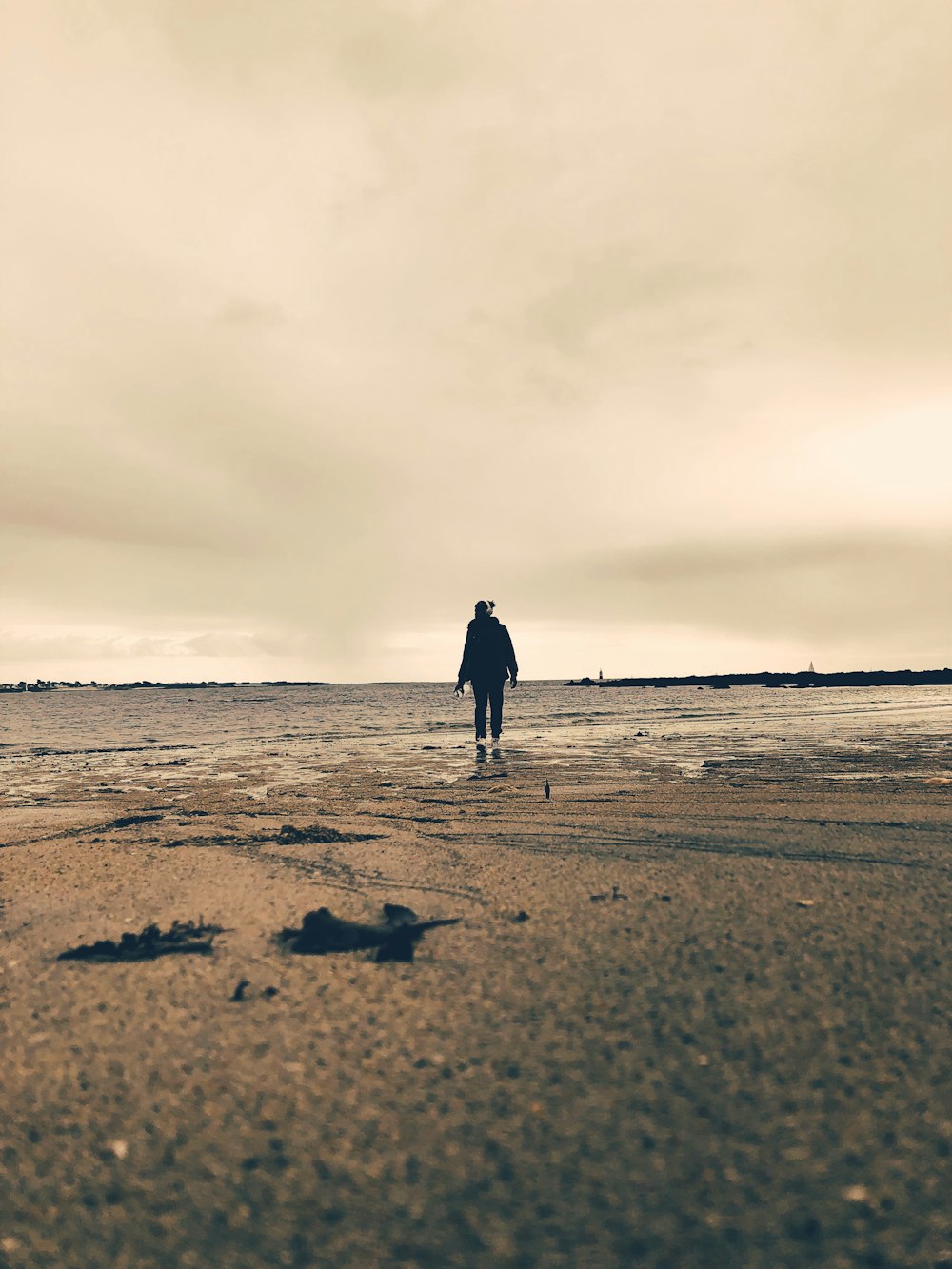 a person walking on a beach near the ocean