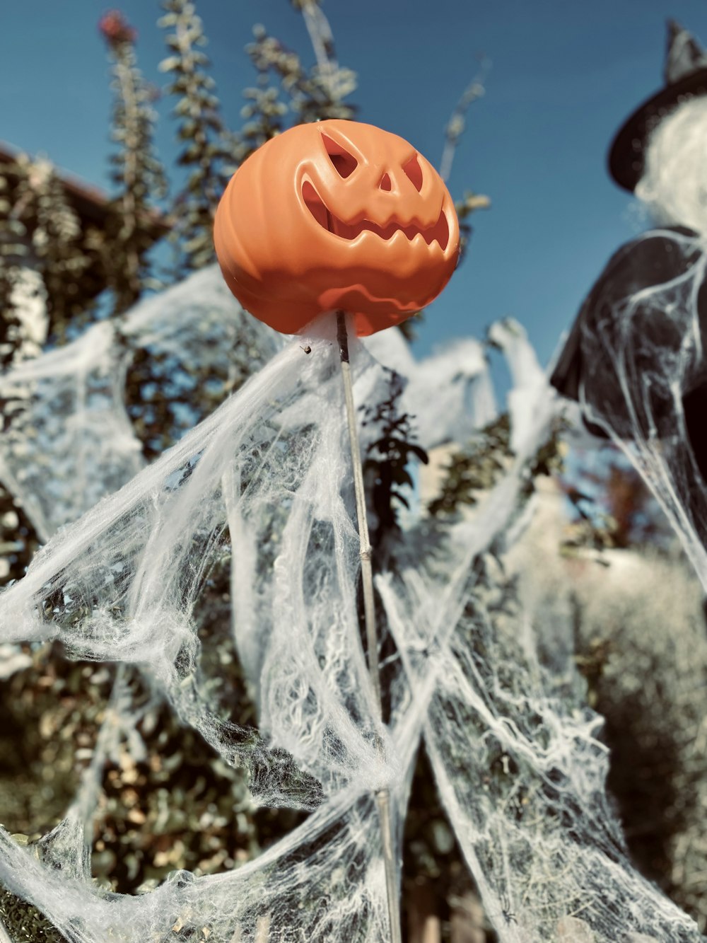 a close up of a pumpkin on a stick