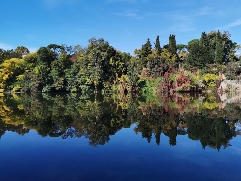 a body of water surrounded by trees and bushes