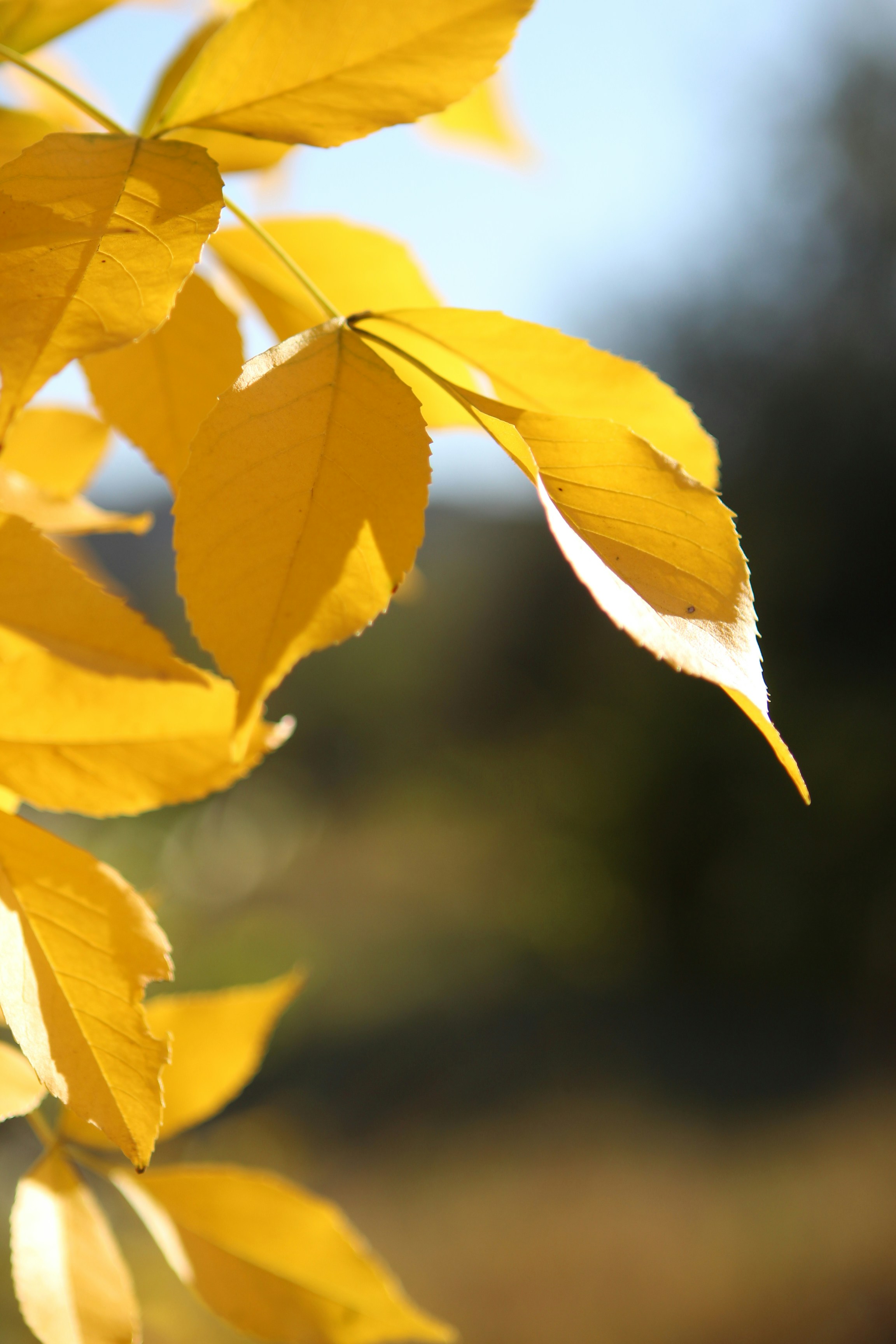 Photo by doinagavrilov