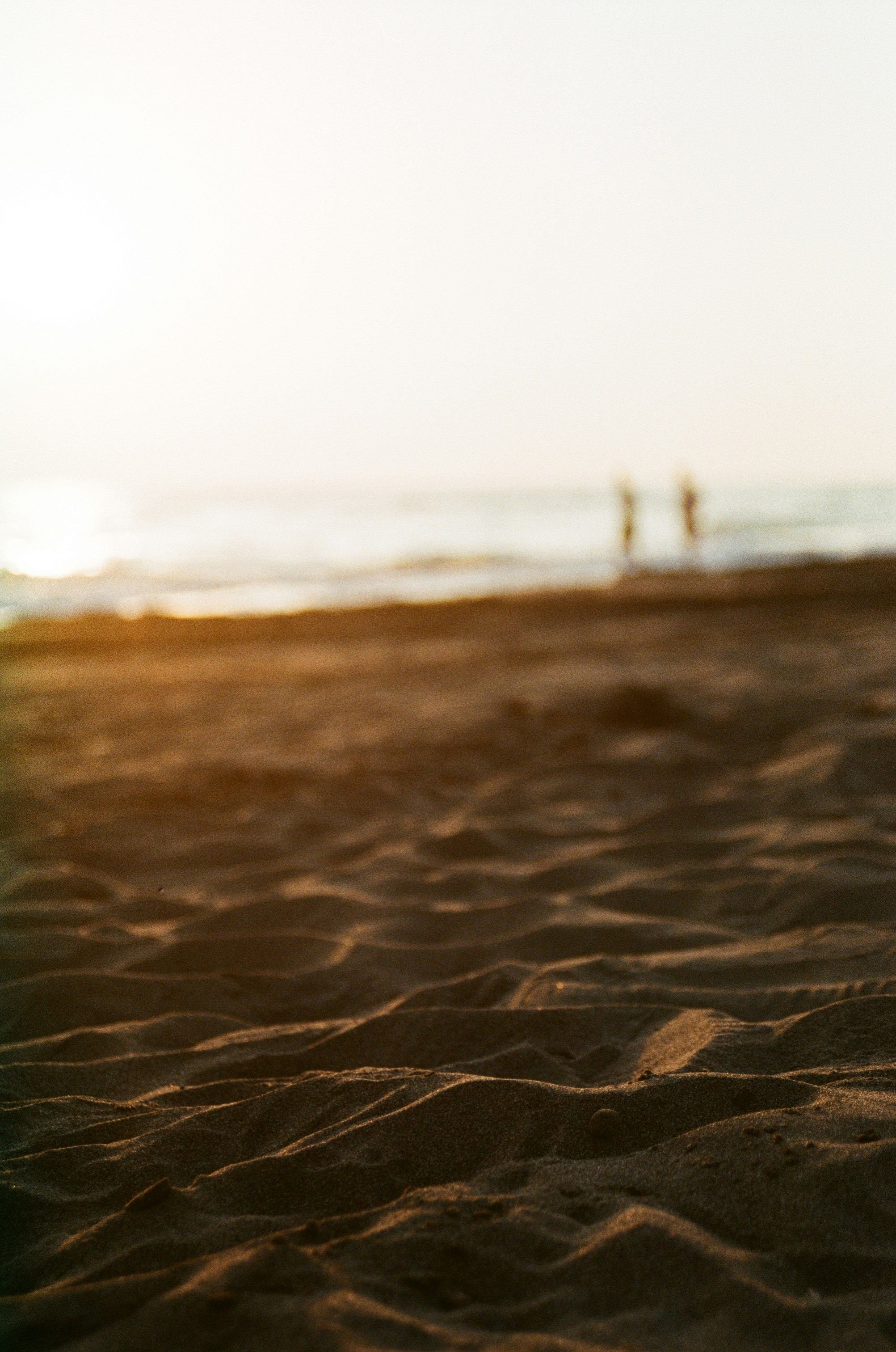 Photo by babikacharava