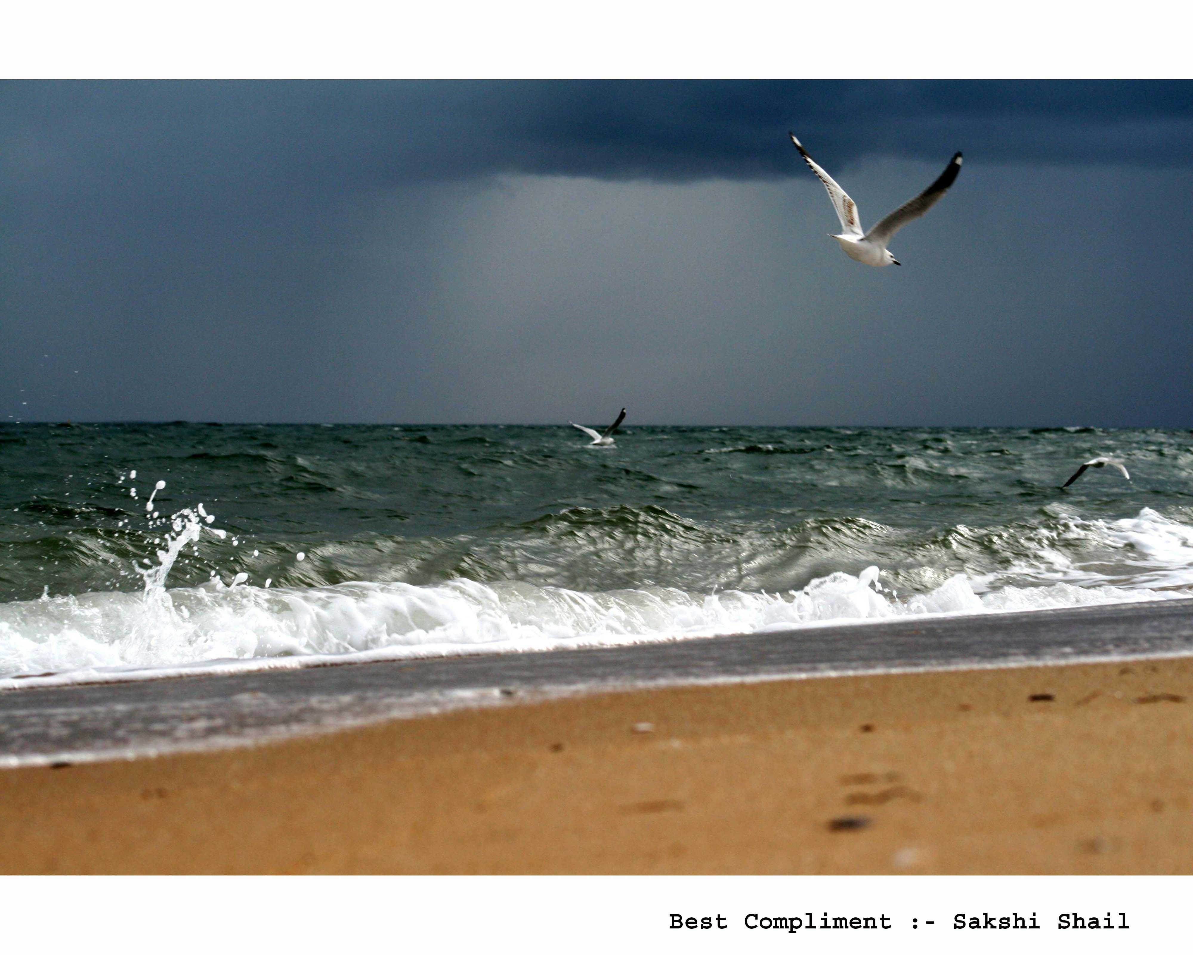 Things to Do in Mordialloc (2026) -- 13 Local Picks