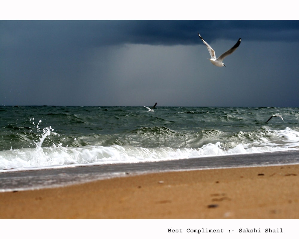 two seagulls flying over the ocean on a stormy day