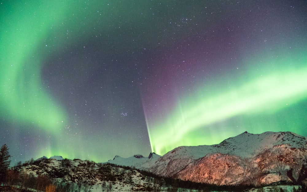 a green and purple aurora over a snowy mountain range