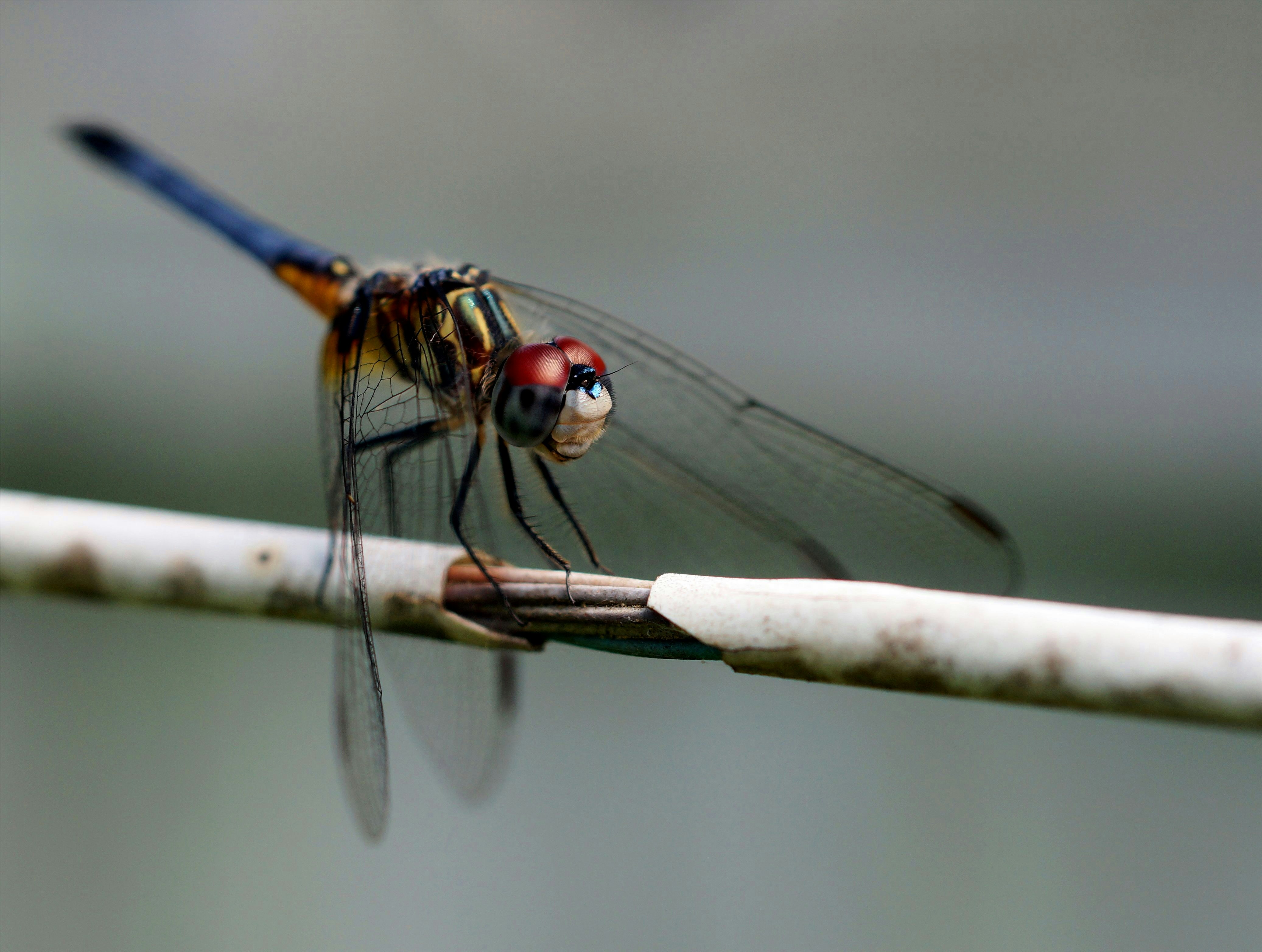 Photo by myrandomviews