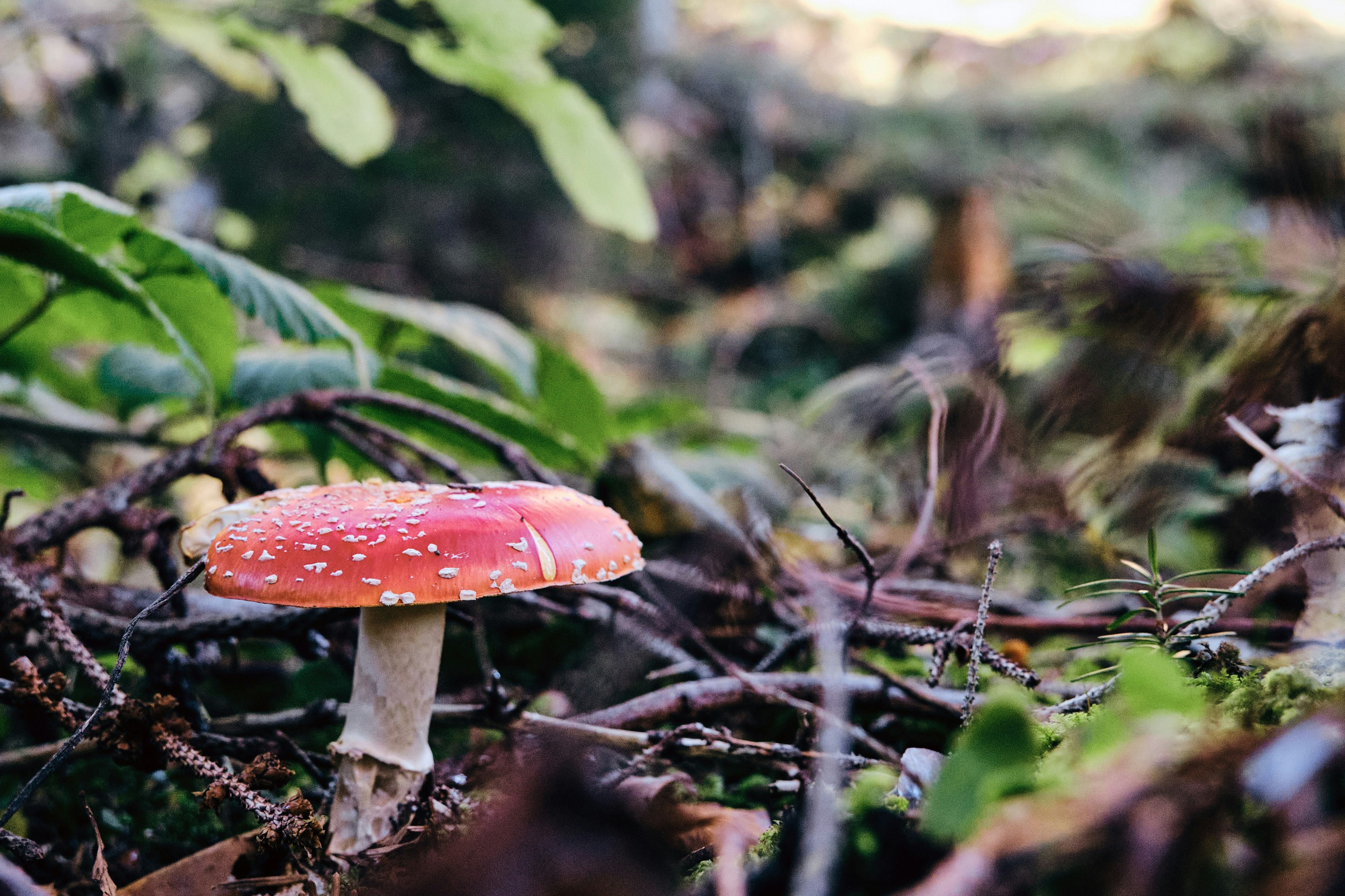 Photo by marcus_ganahl