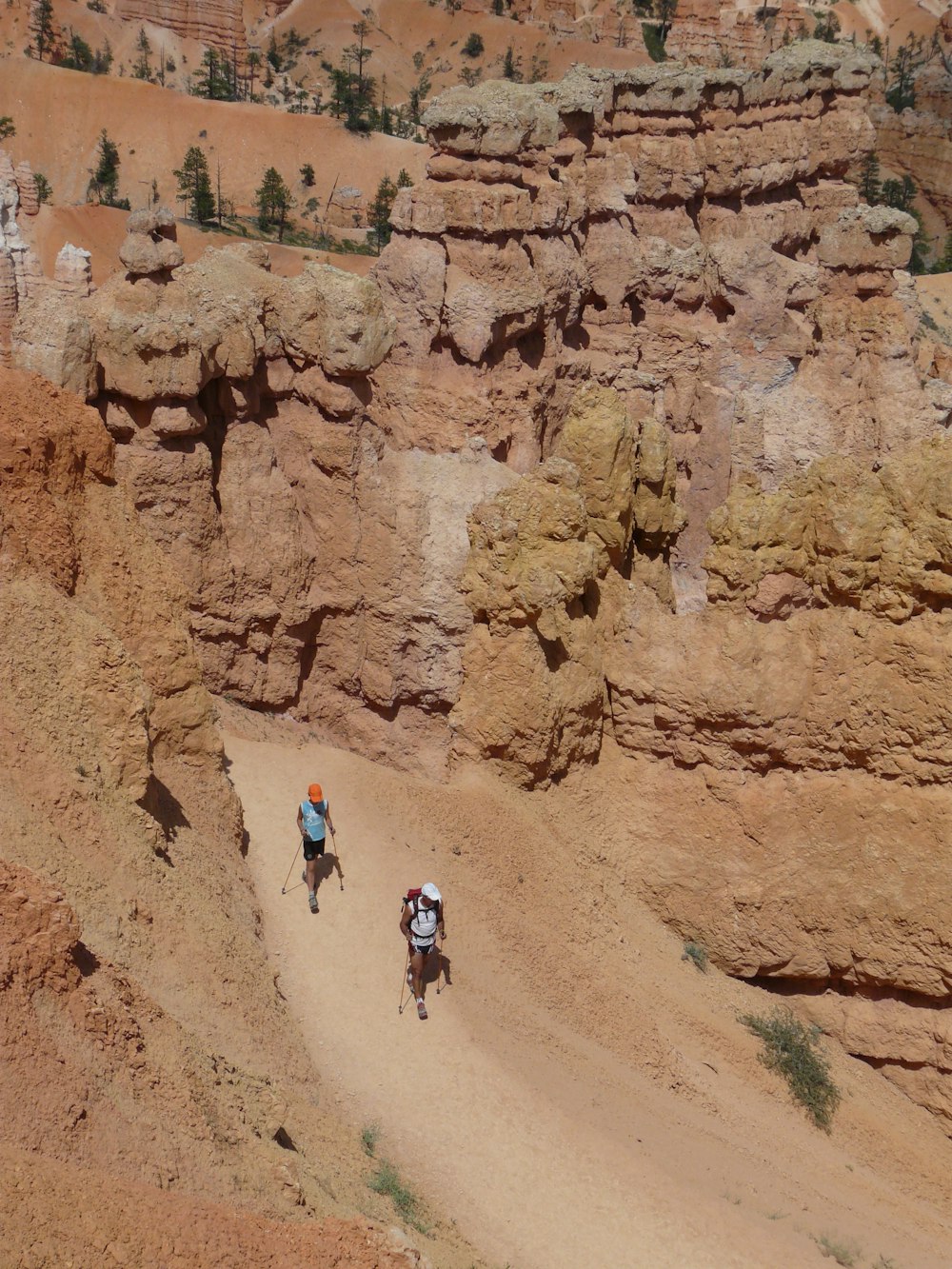 a group of people riding bikes down a dirt road