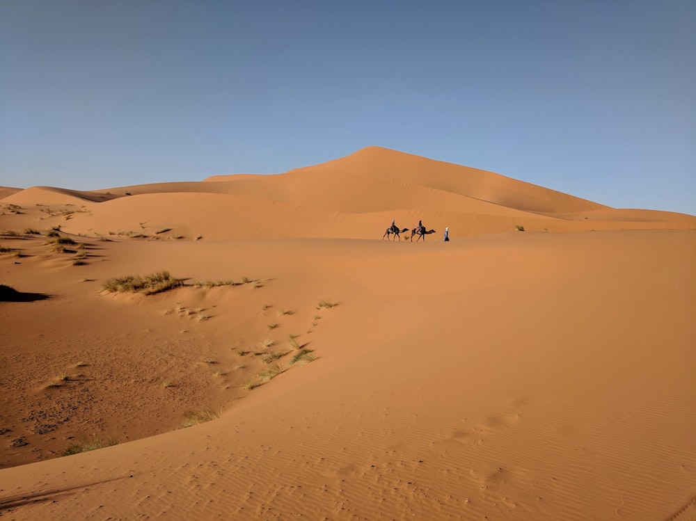 a group of people riding camels across a desert