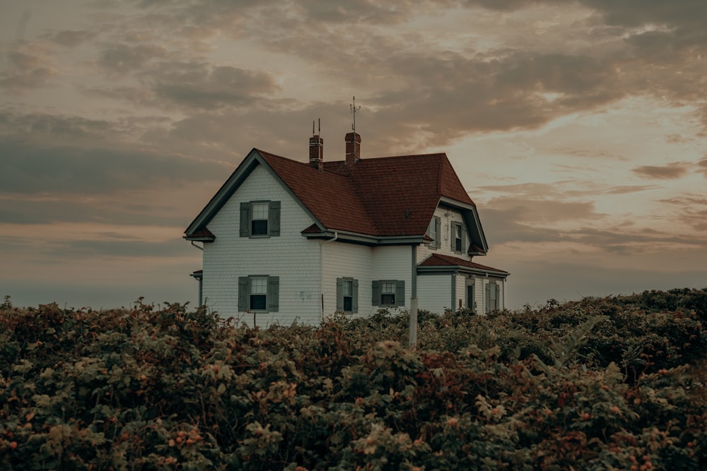 a white house sitting on top of a lush green field