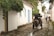 A cobblestone street lined with white colonial-style buildings, some with blue and yellow doors. A horse-drawn carriage is moving down the street, accompanied by people walking. Lush greenery hangs over the street from the rooftops and walls.