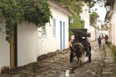A cobblestone street lined with white colonial-style buildings, some with blue and yellow doors. A horse-drawn carriage is moving down the street, accompanied by people walking. Lush greenery hangs over the street from the rooftops and walls.