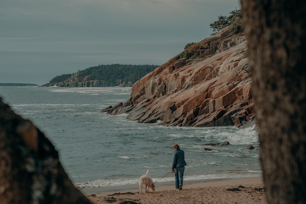 a person walking a dog on a beach