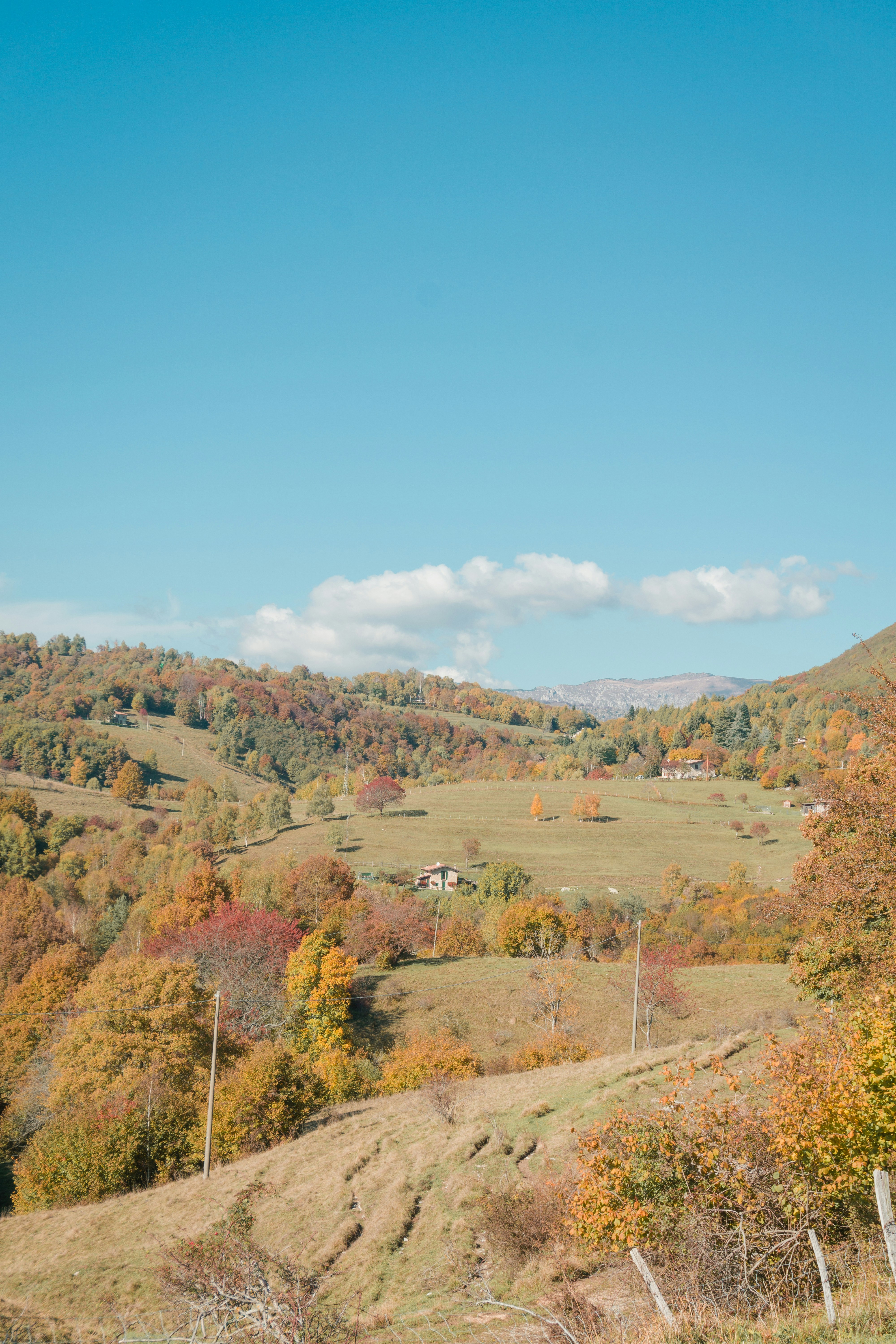 Photo by michelemarchesi