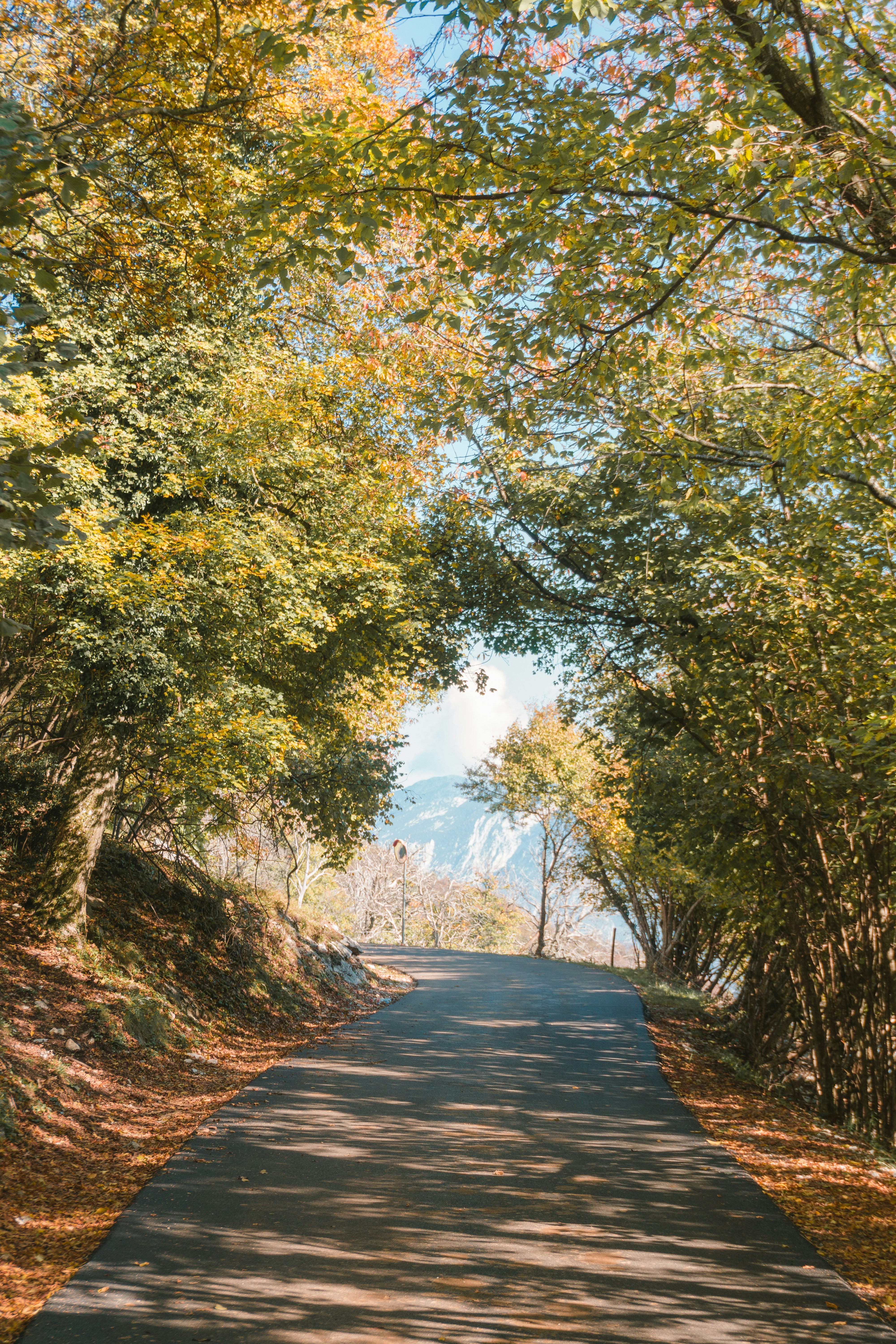 Photo by michelemarchesi