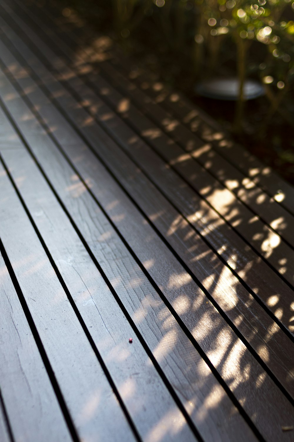 a close up of a wooden deck with plants in the background