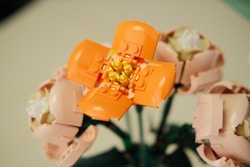 a close up of a flower in a vase