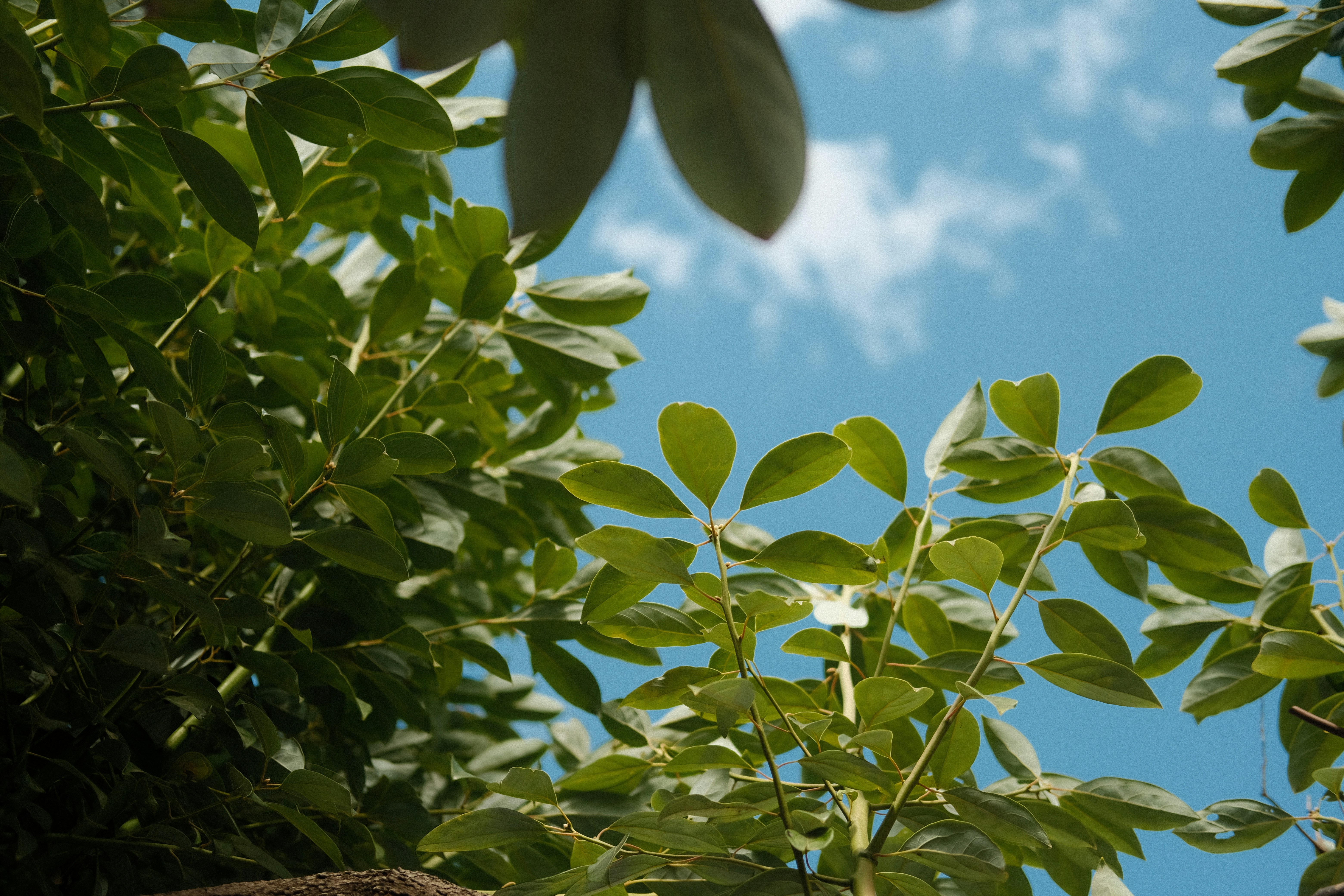 Photo by zhangfeialex