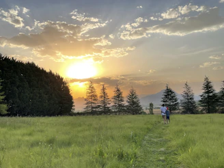 A serene sunset over a wide-open field with a veteran quietly walking along a wooded path.