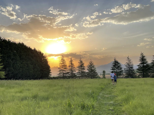 A serene sunset over a wide-open field with a veteran quietly walking along a wooded path.