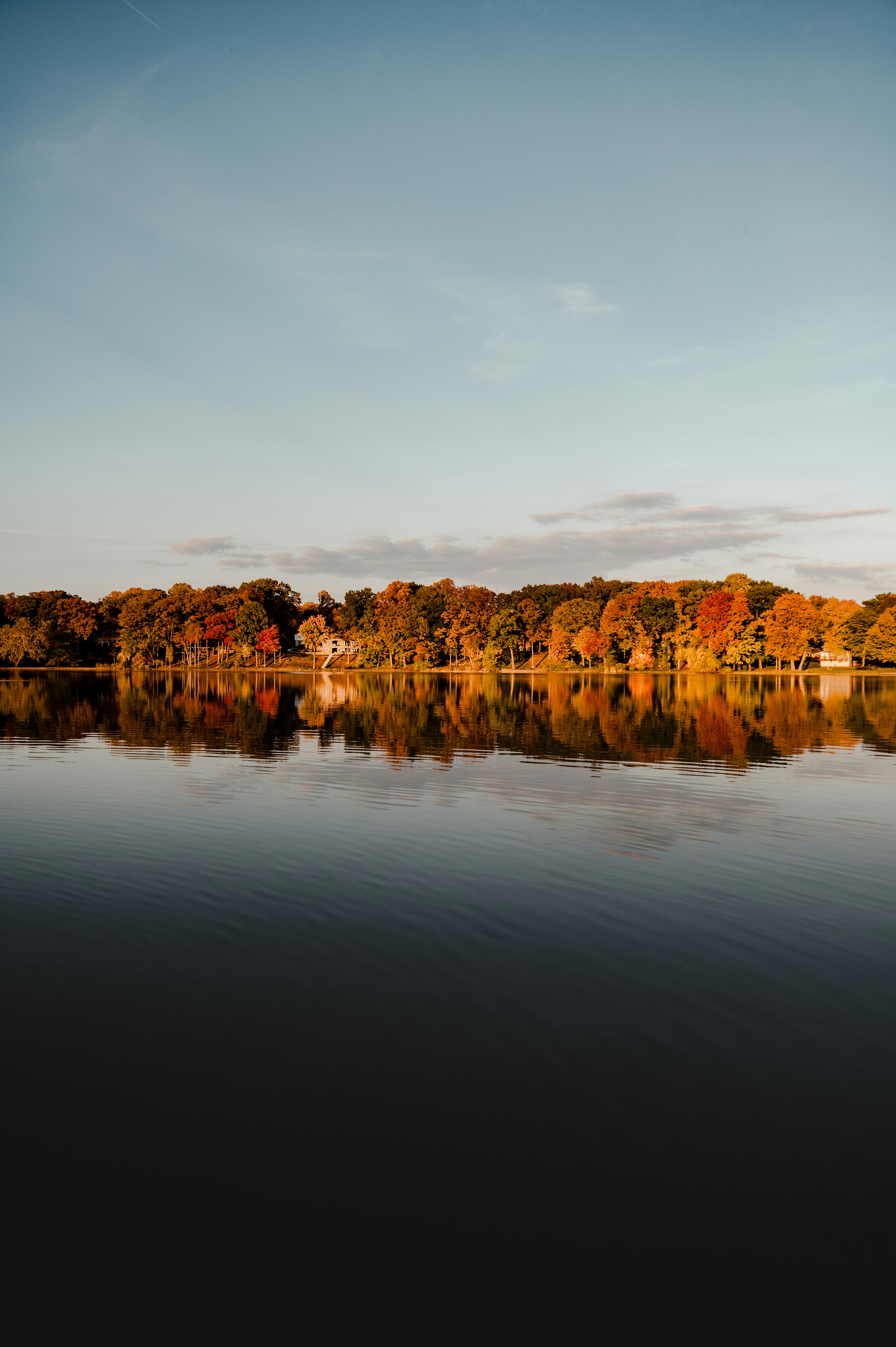 a large body of water surrounded by trees