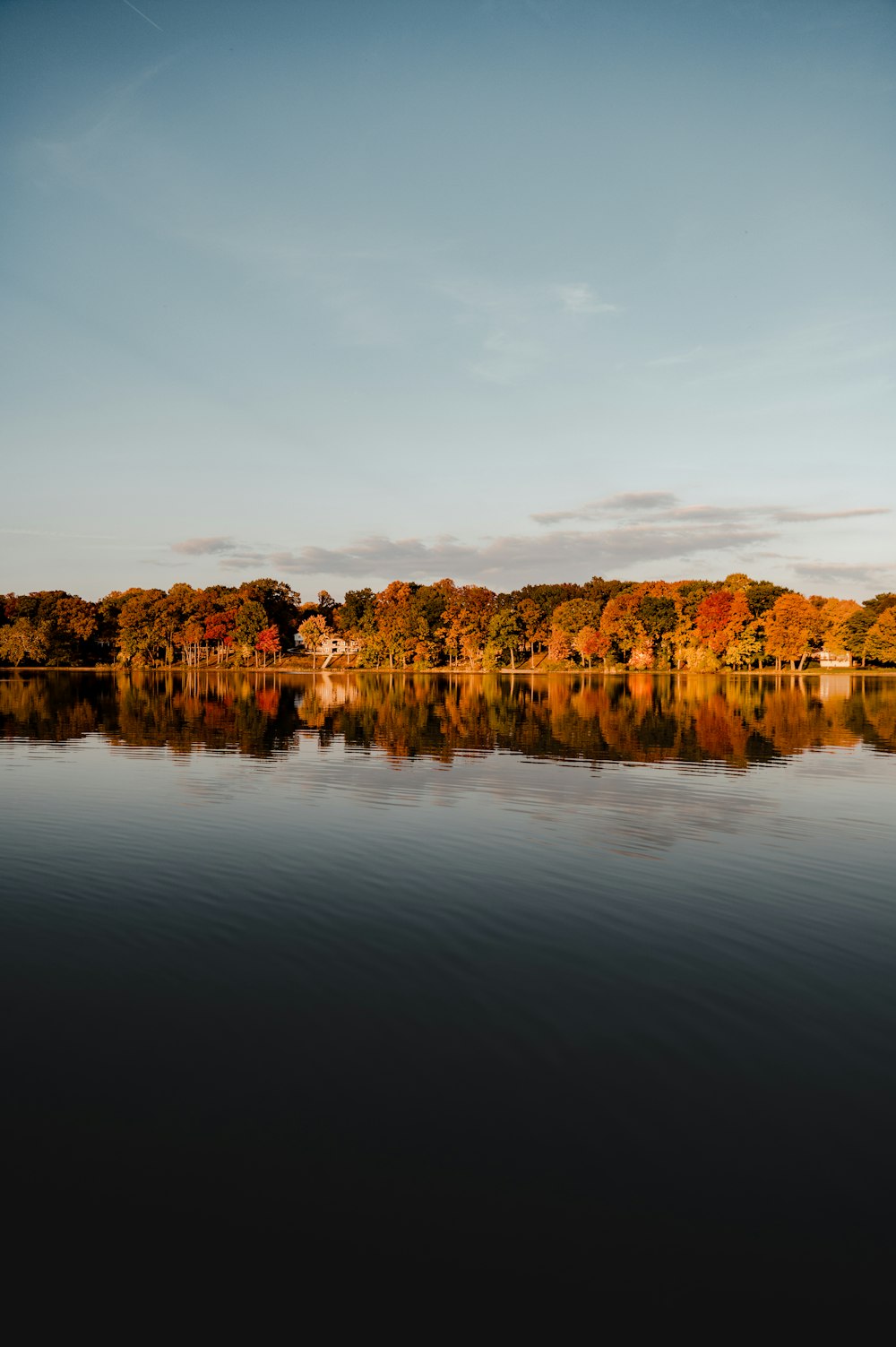 a large body of water surrounded by trees