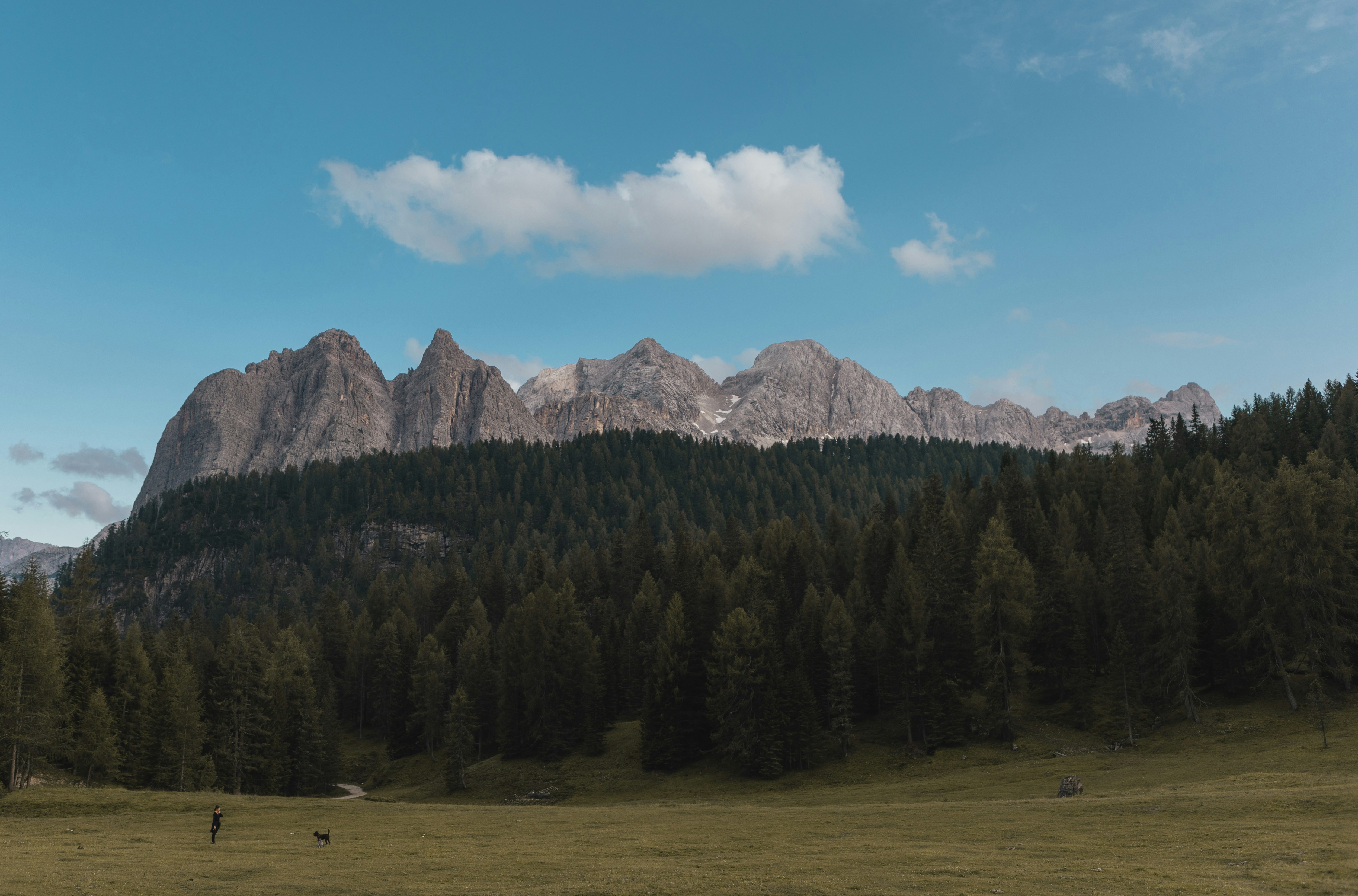 Photo by alex_gruber