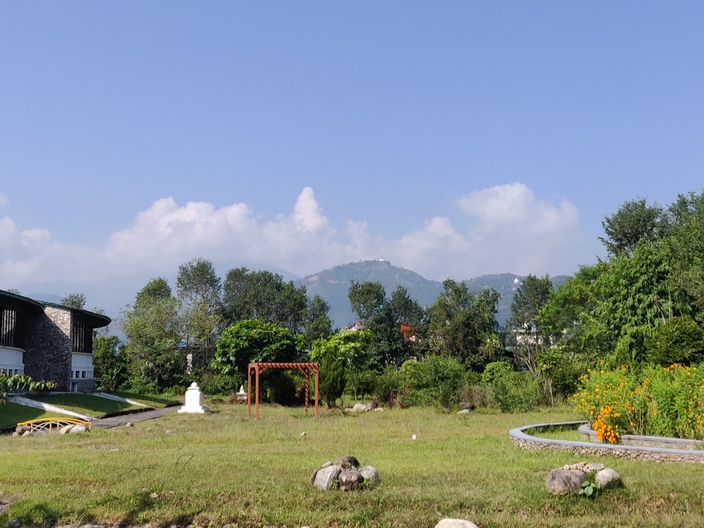 a grassy field with a house in the background