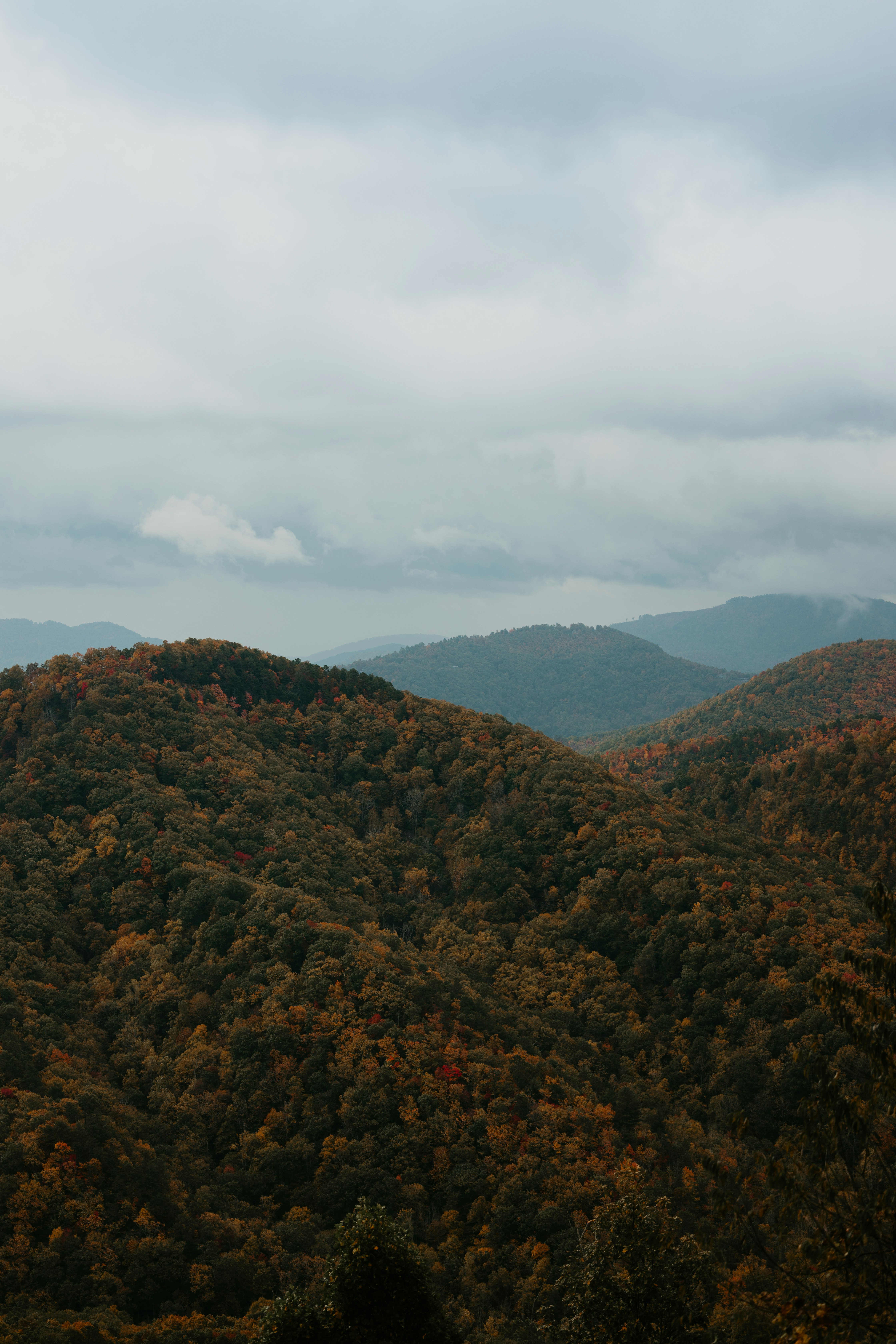 Photo by luismorerat