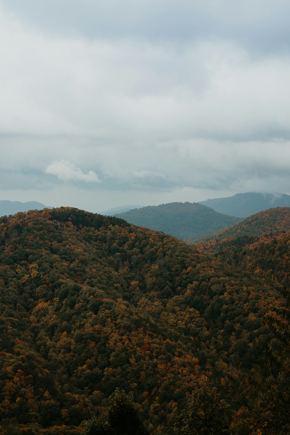 a view of a mountain range with trees in the foreground