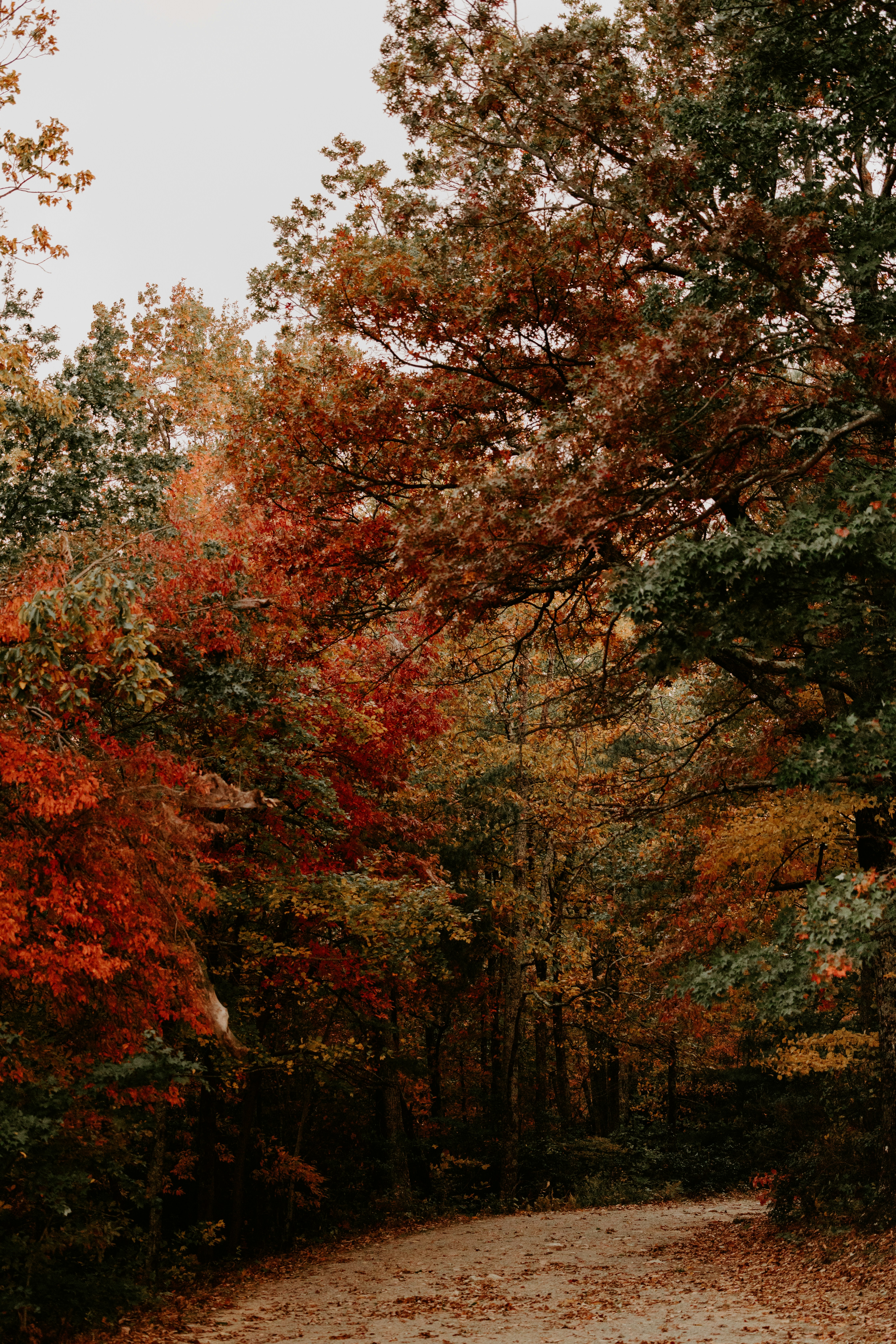 Photo by luismorerat