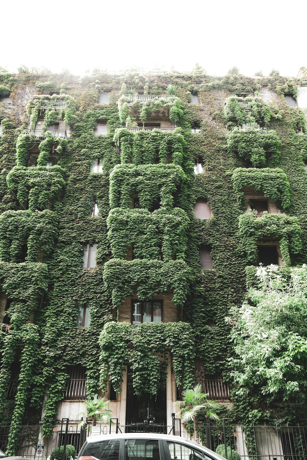 a car parked in front of a building covered in vines