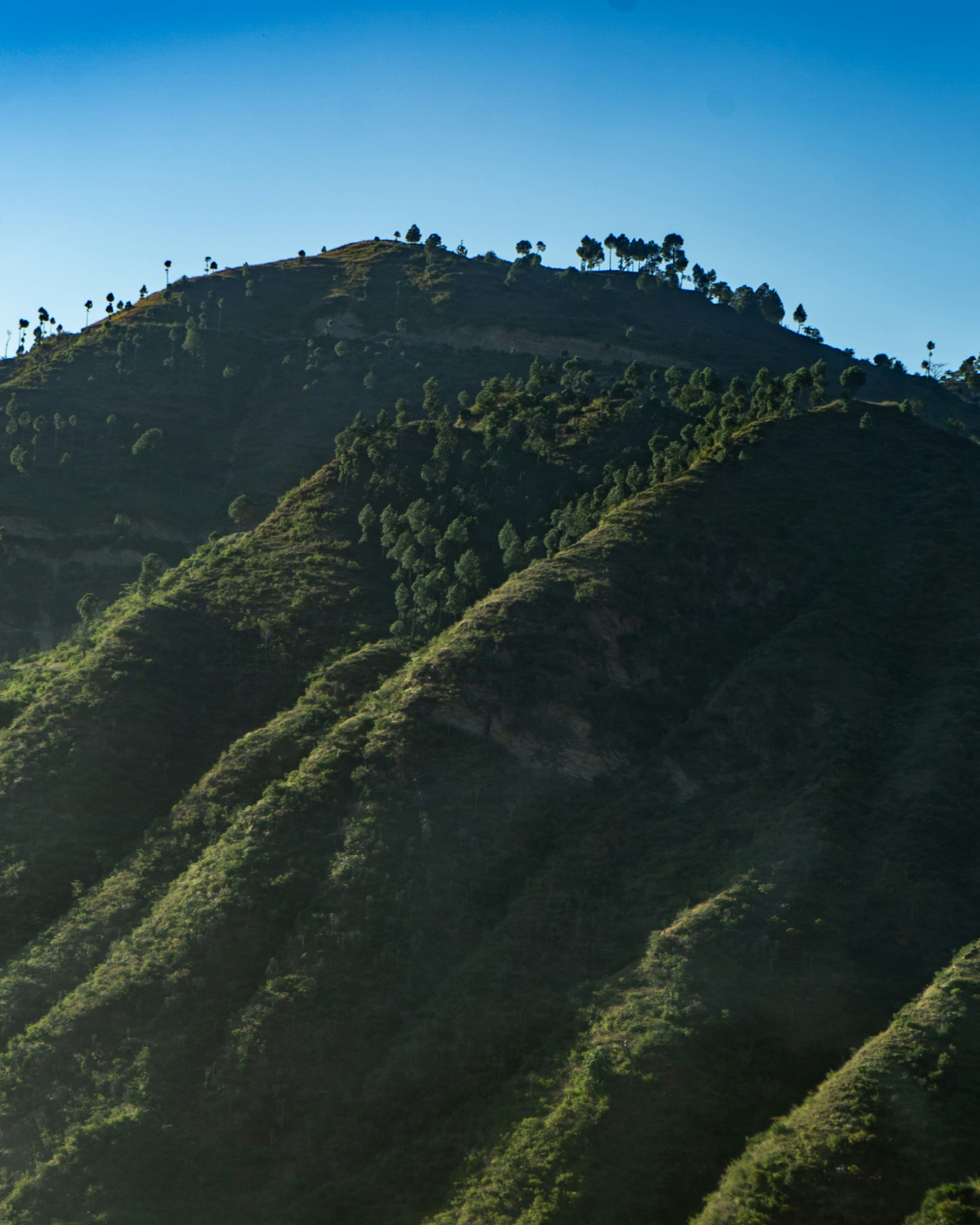 Photo by yogendras31