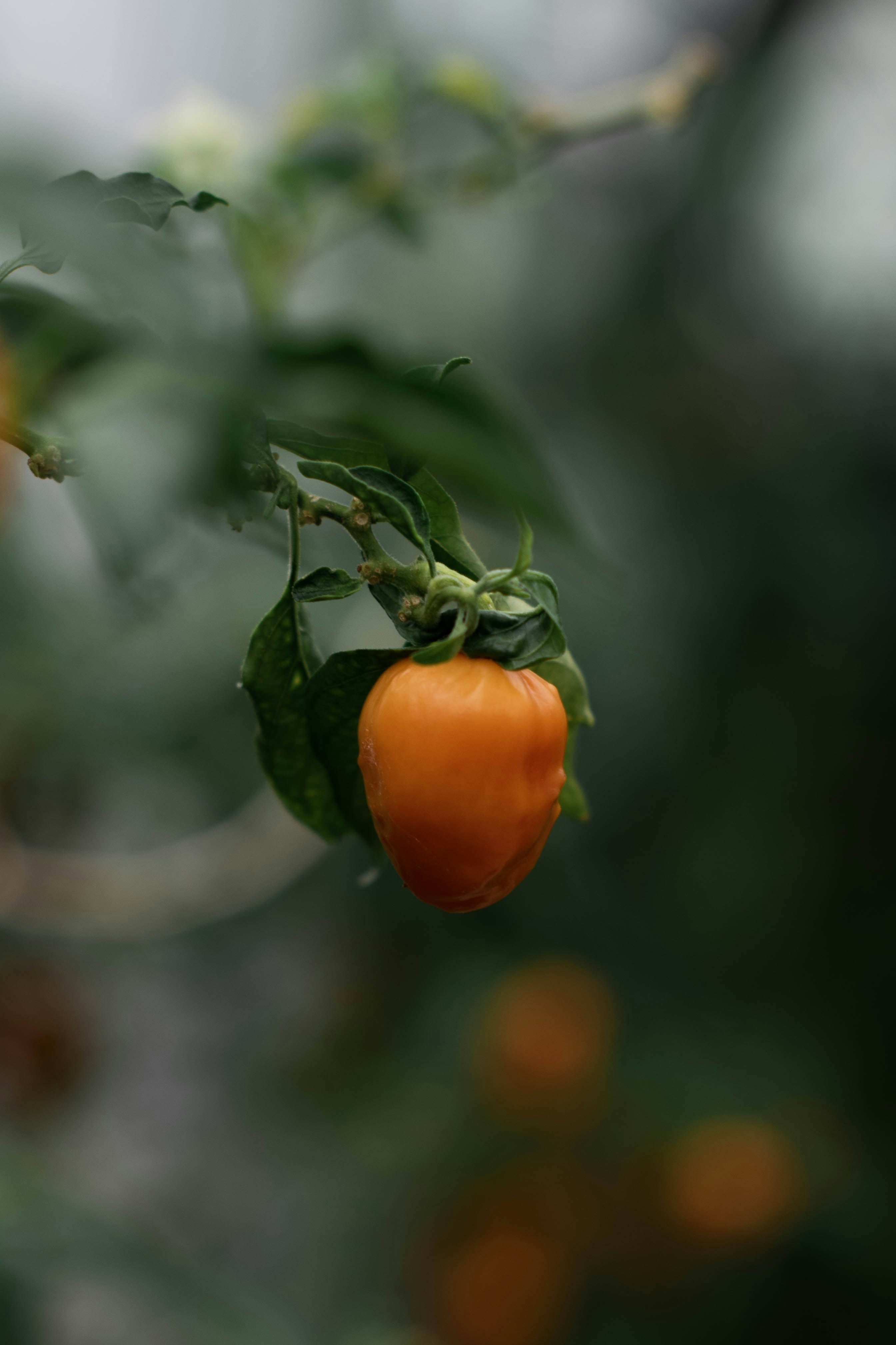 Photo by mariahhewines