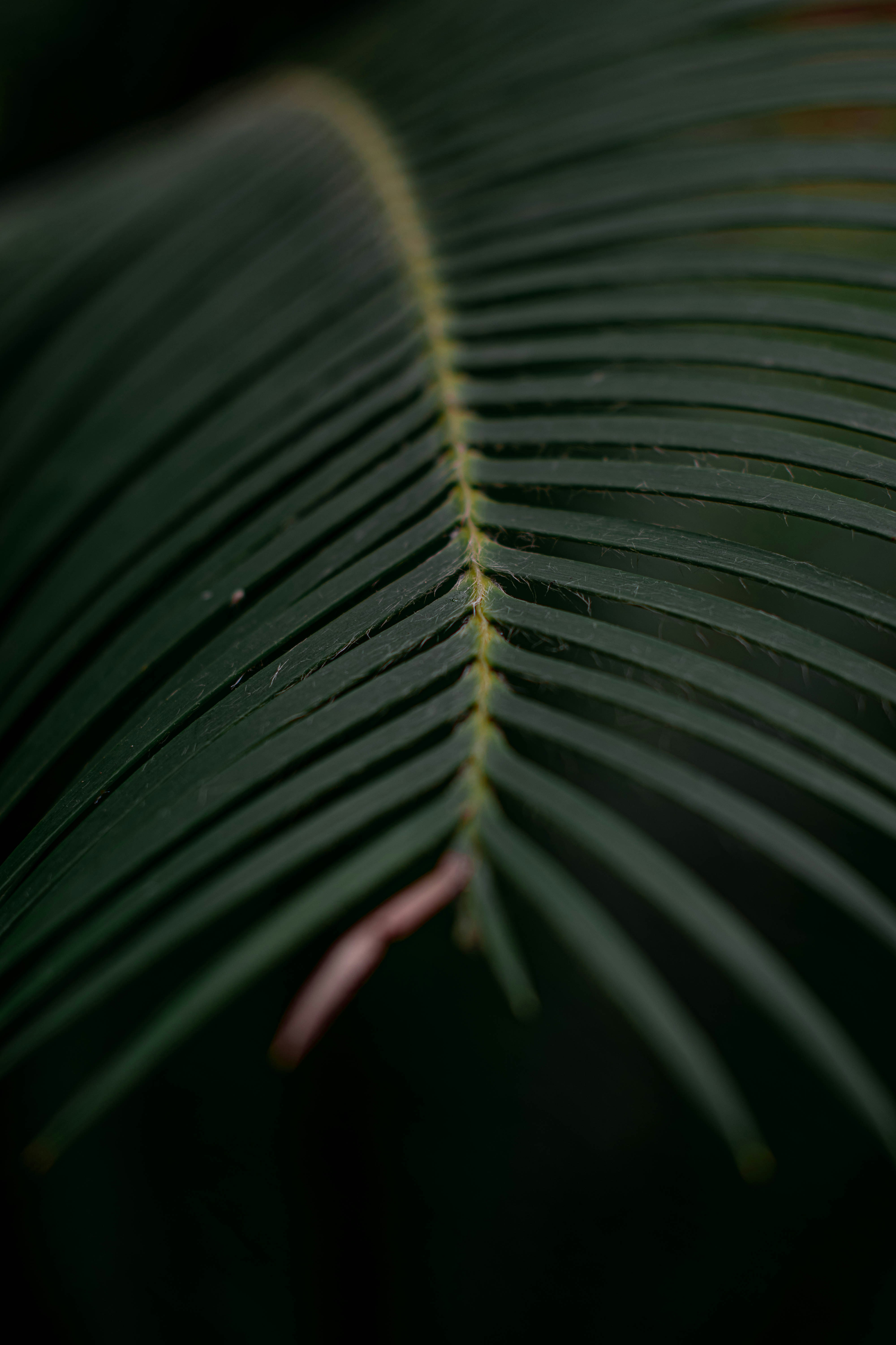 Photo by mariahhewines