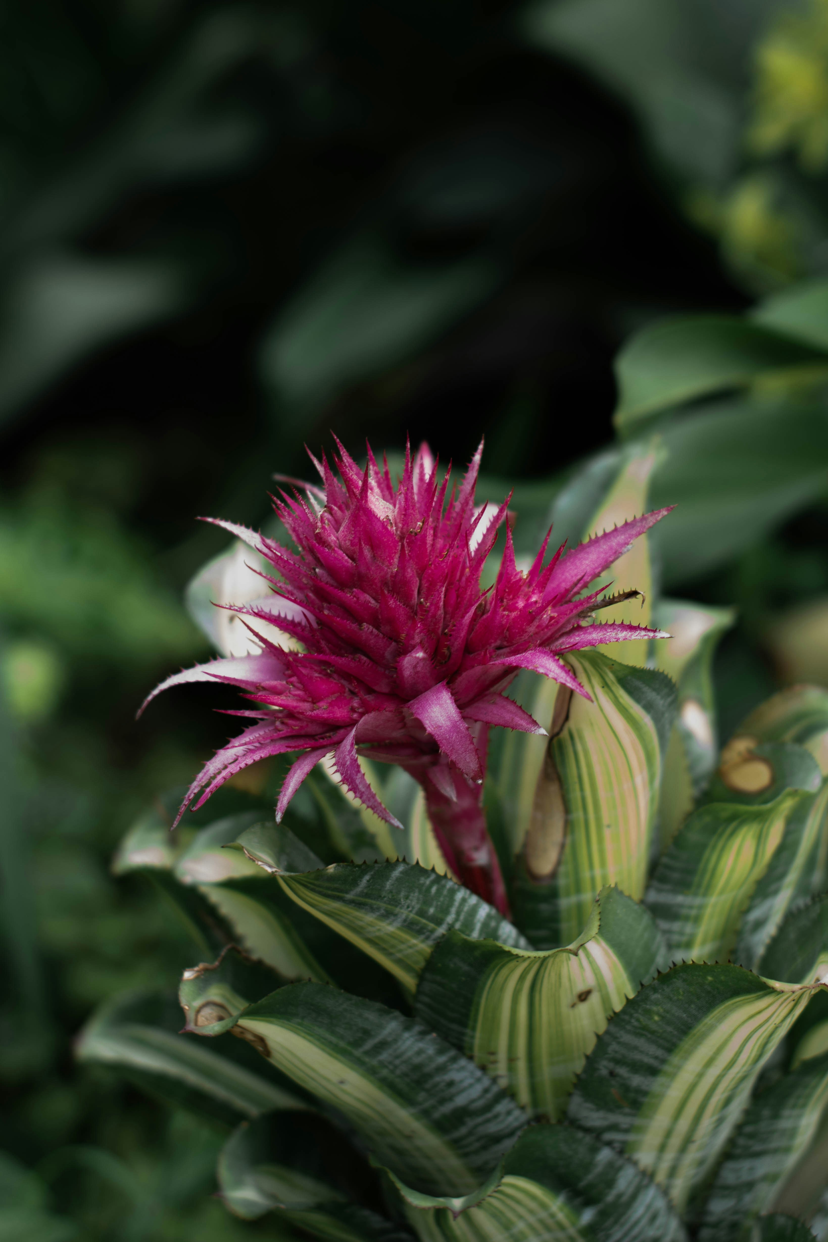 Photo by mariahhewines