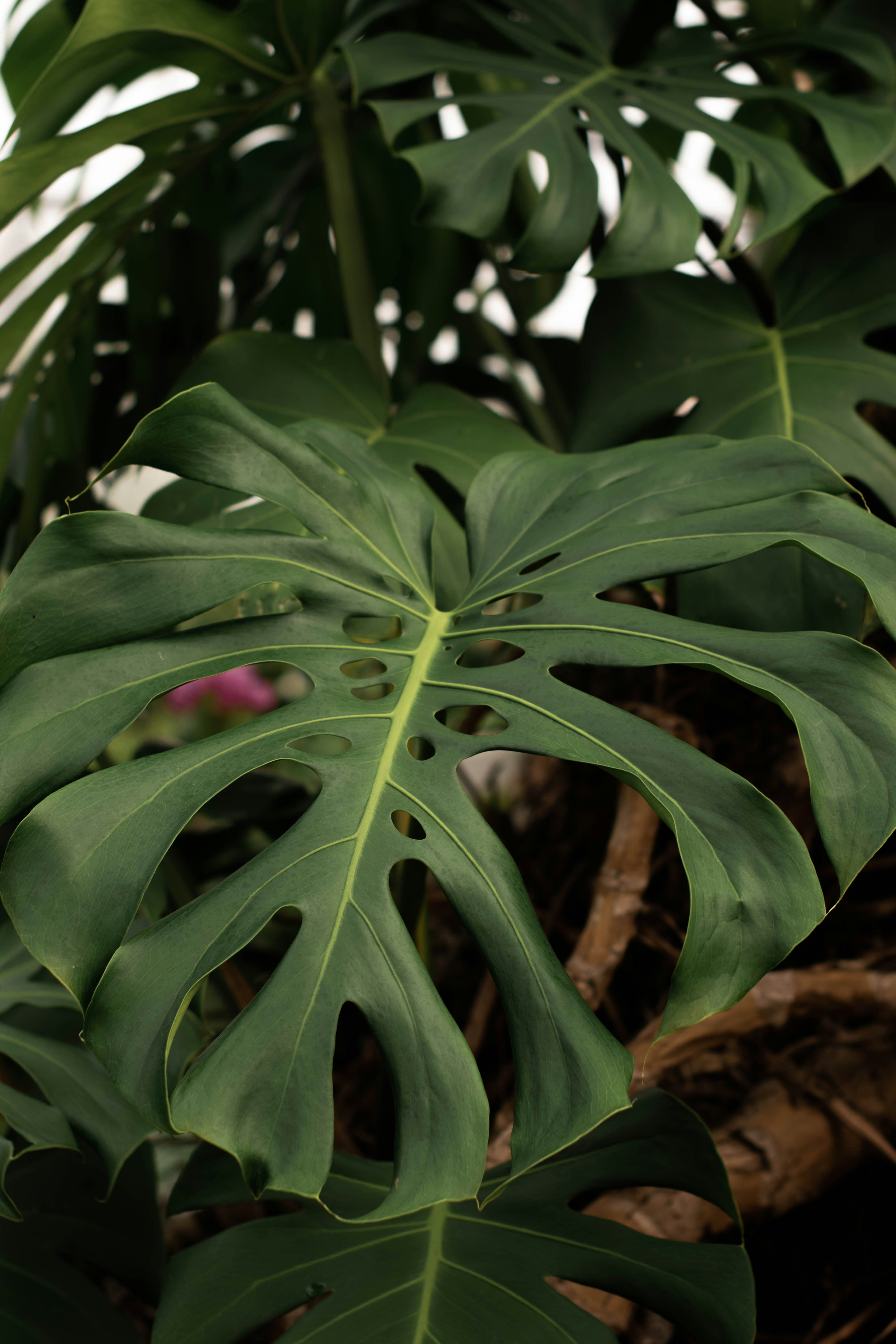 Photo by mariahhewines