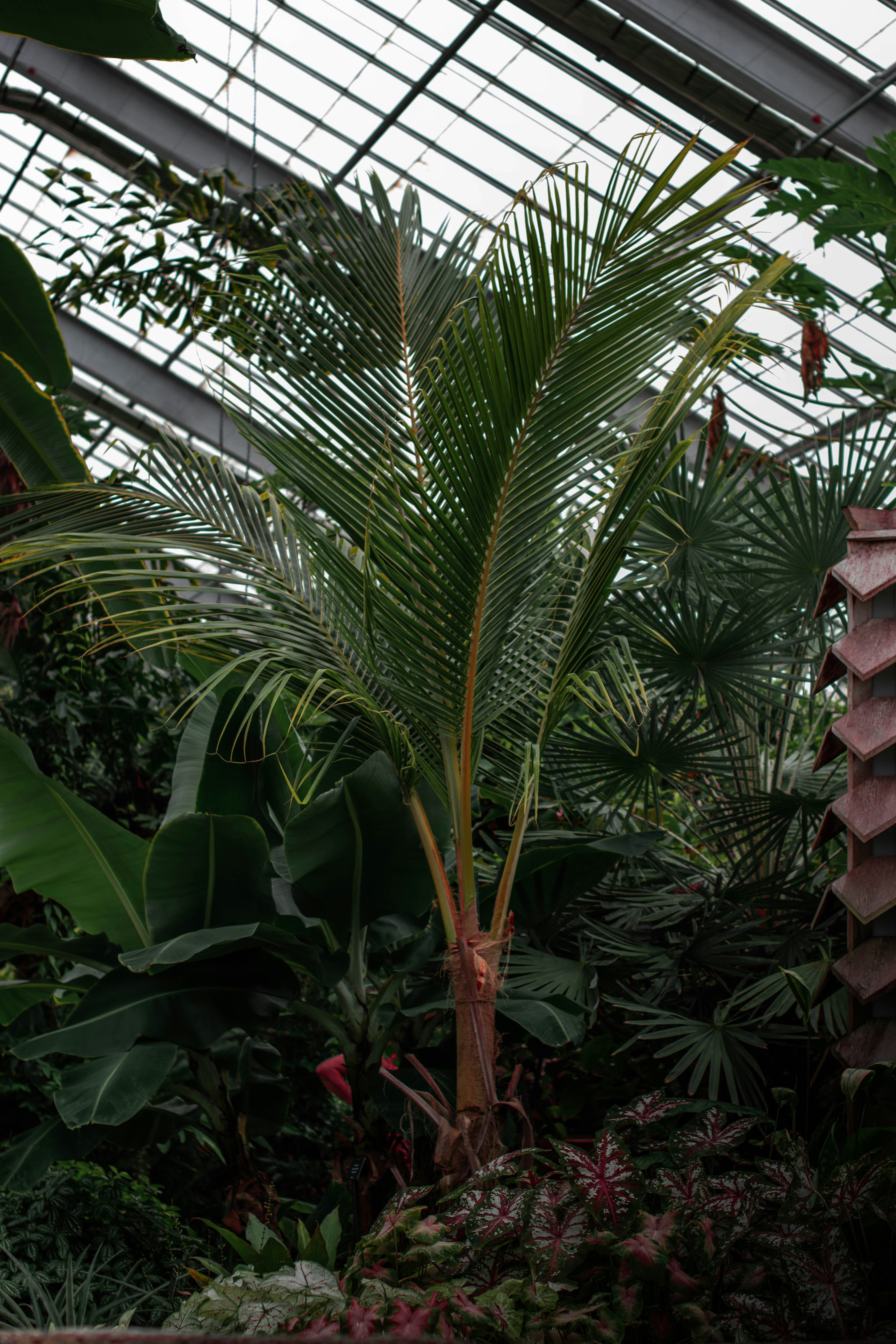 Photo by mariahhewines