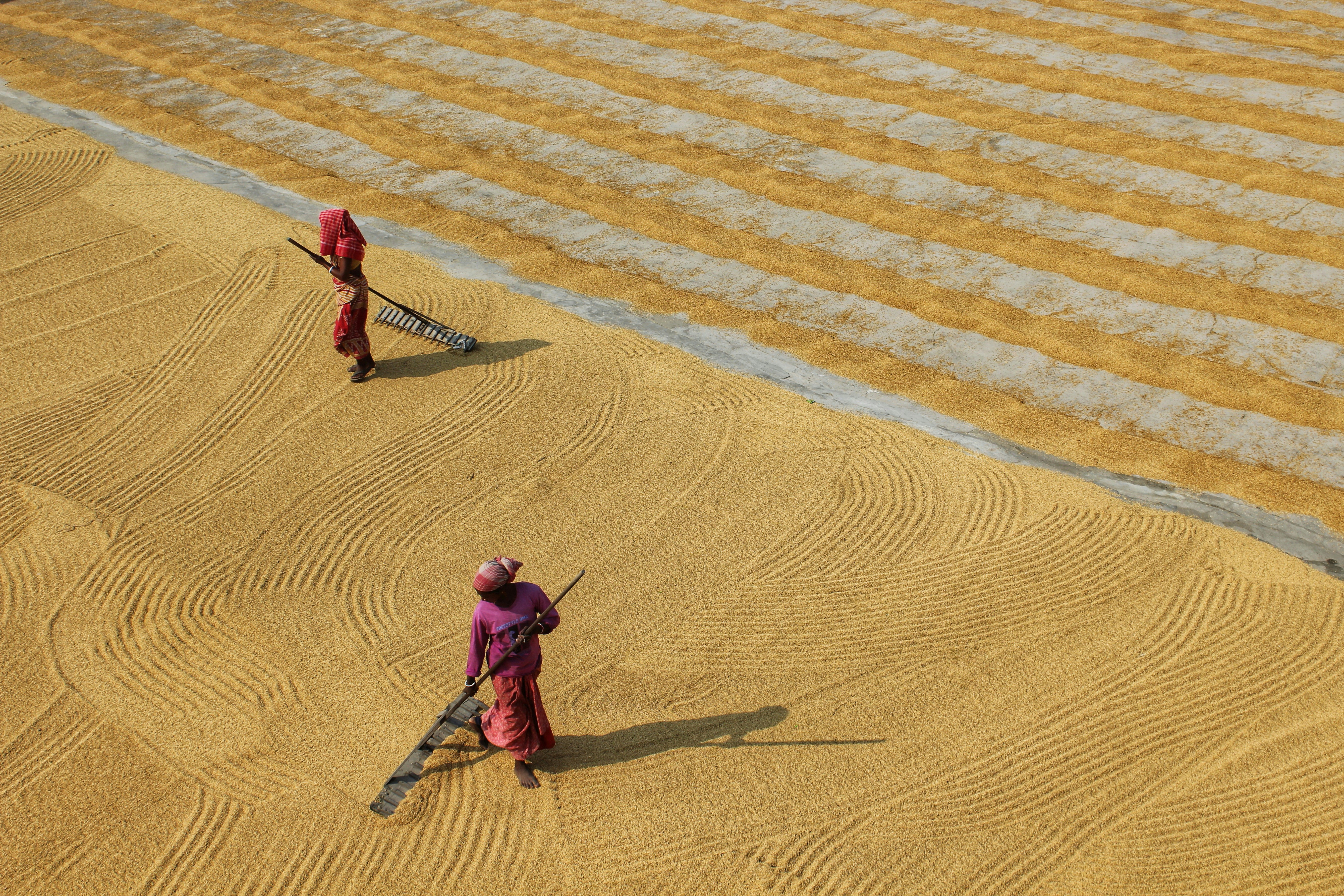 Photo by dibakar16roy