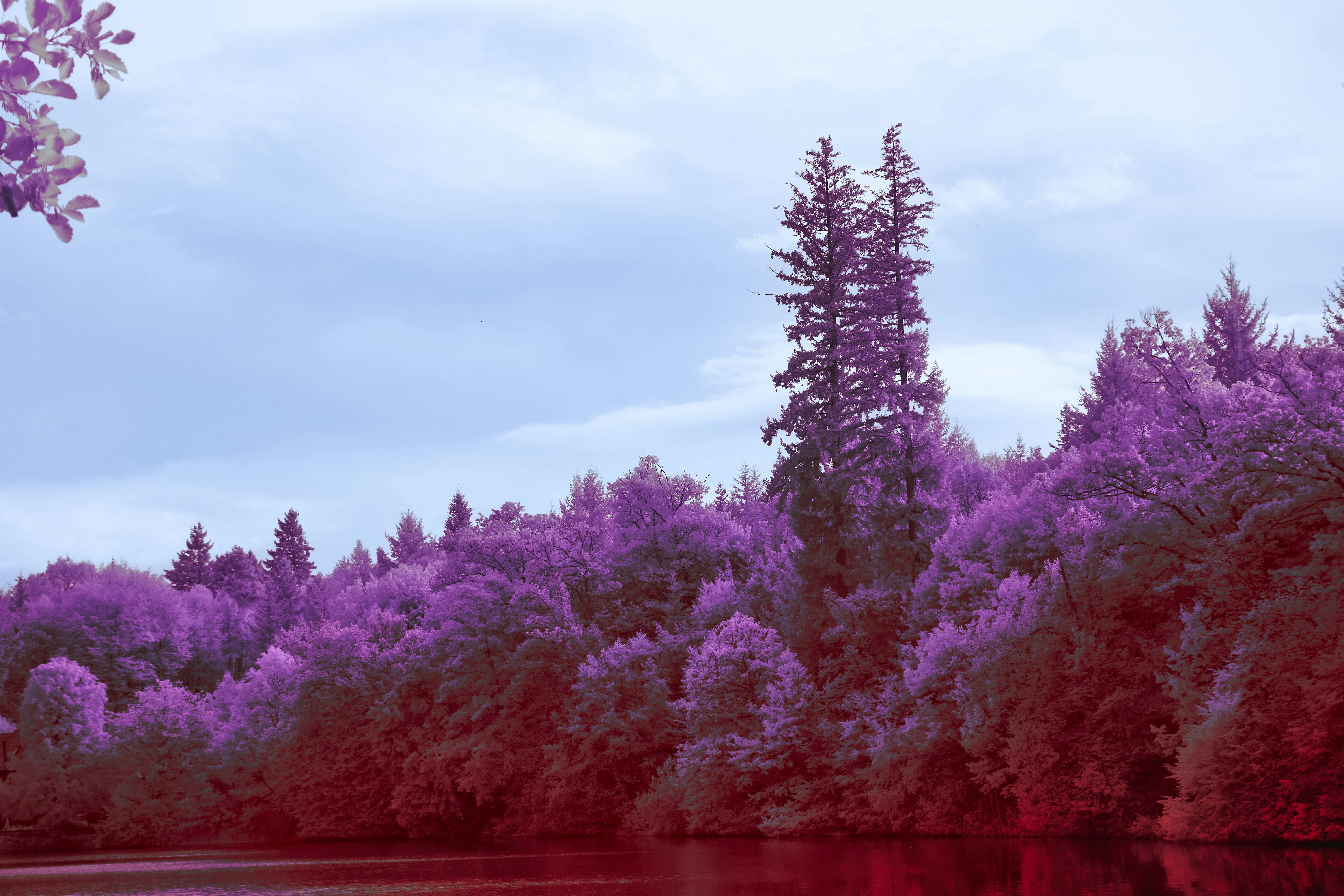 Photo by wolfgang_hasselmann