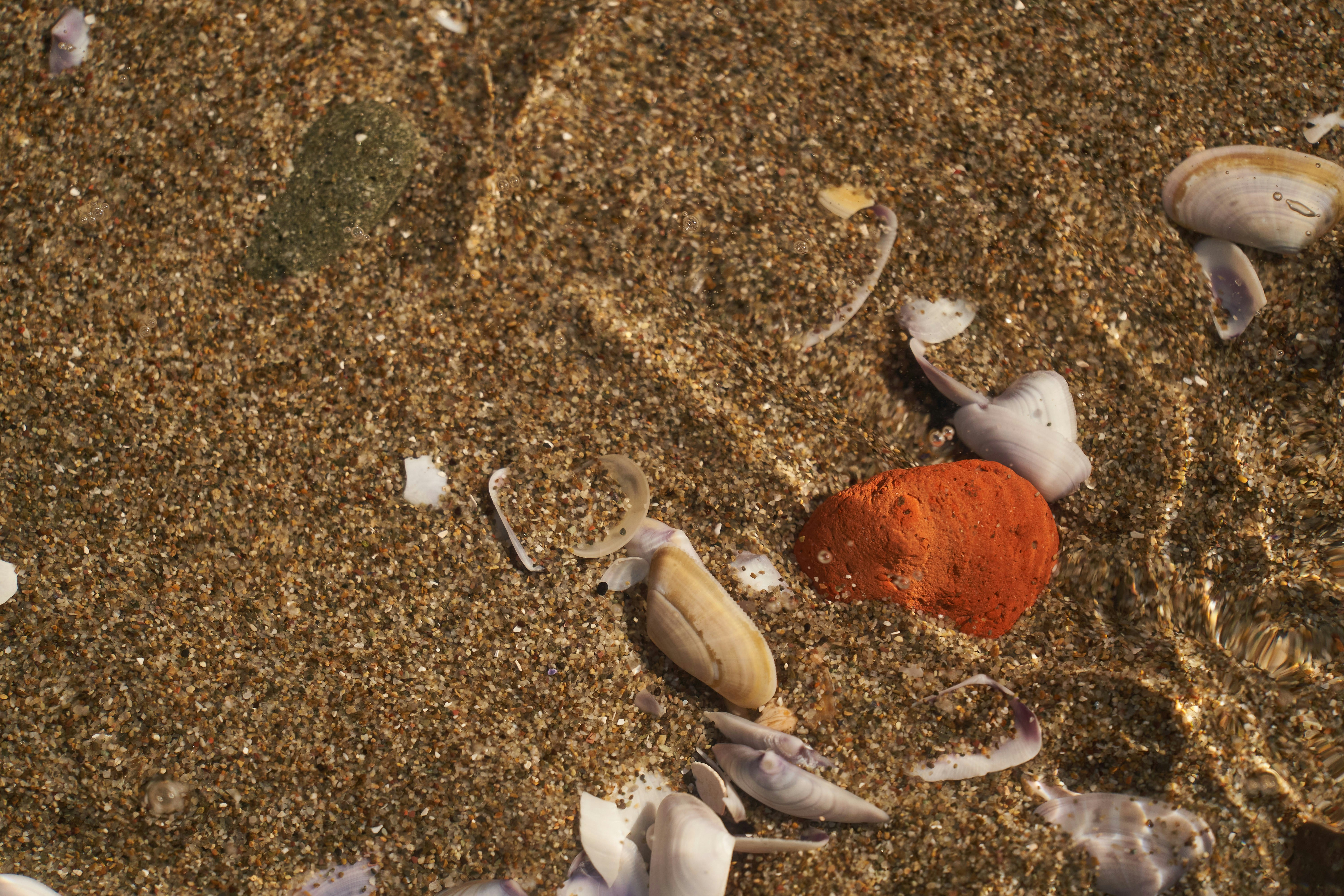 Photo by wolfgang_hasselmann